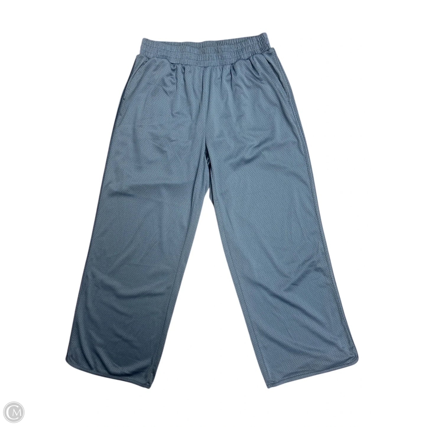 Athletic Pants By Aerie In Blue, Size: L