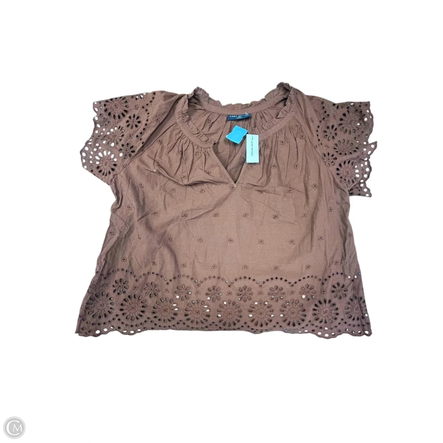 Top Short Sleeve By Lane Bryant In Brown, Size: Xxl