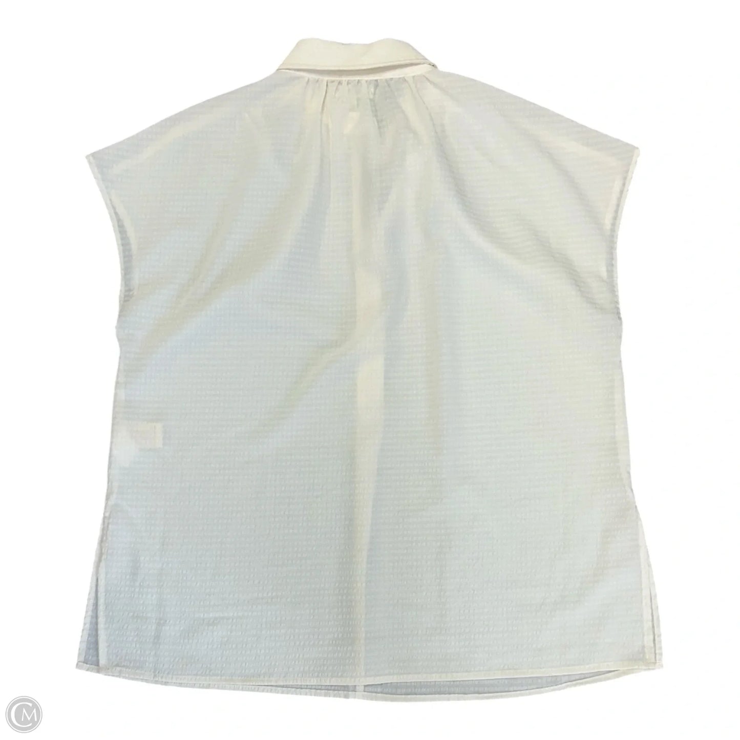 Blouse Short Sleeve By Max Studio In Ivory, Size: S