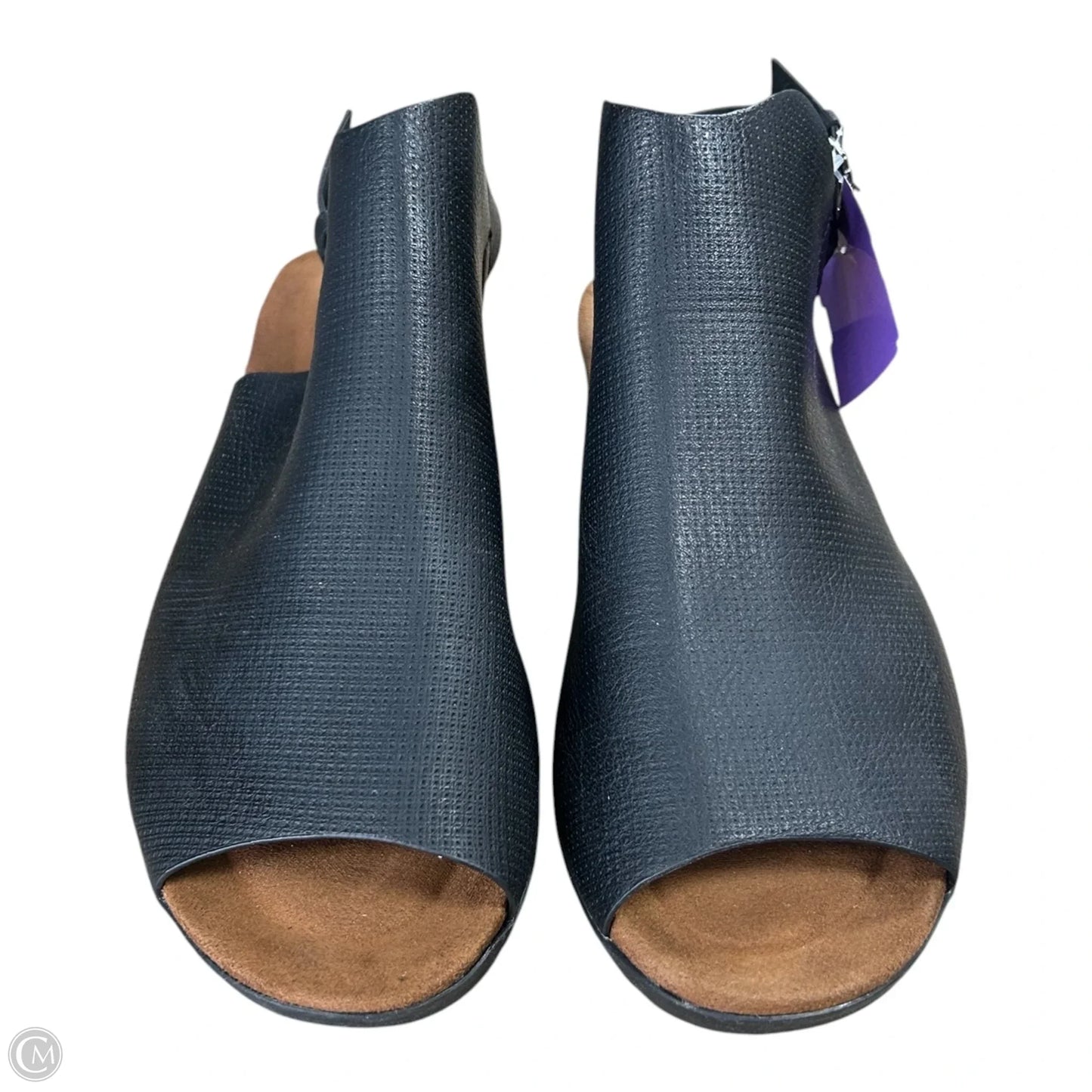 Sandals Flats By Pierre Dumas In Black, Size: 11