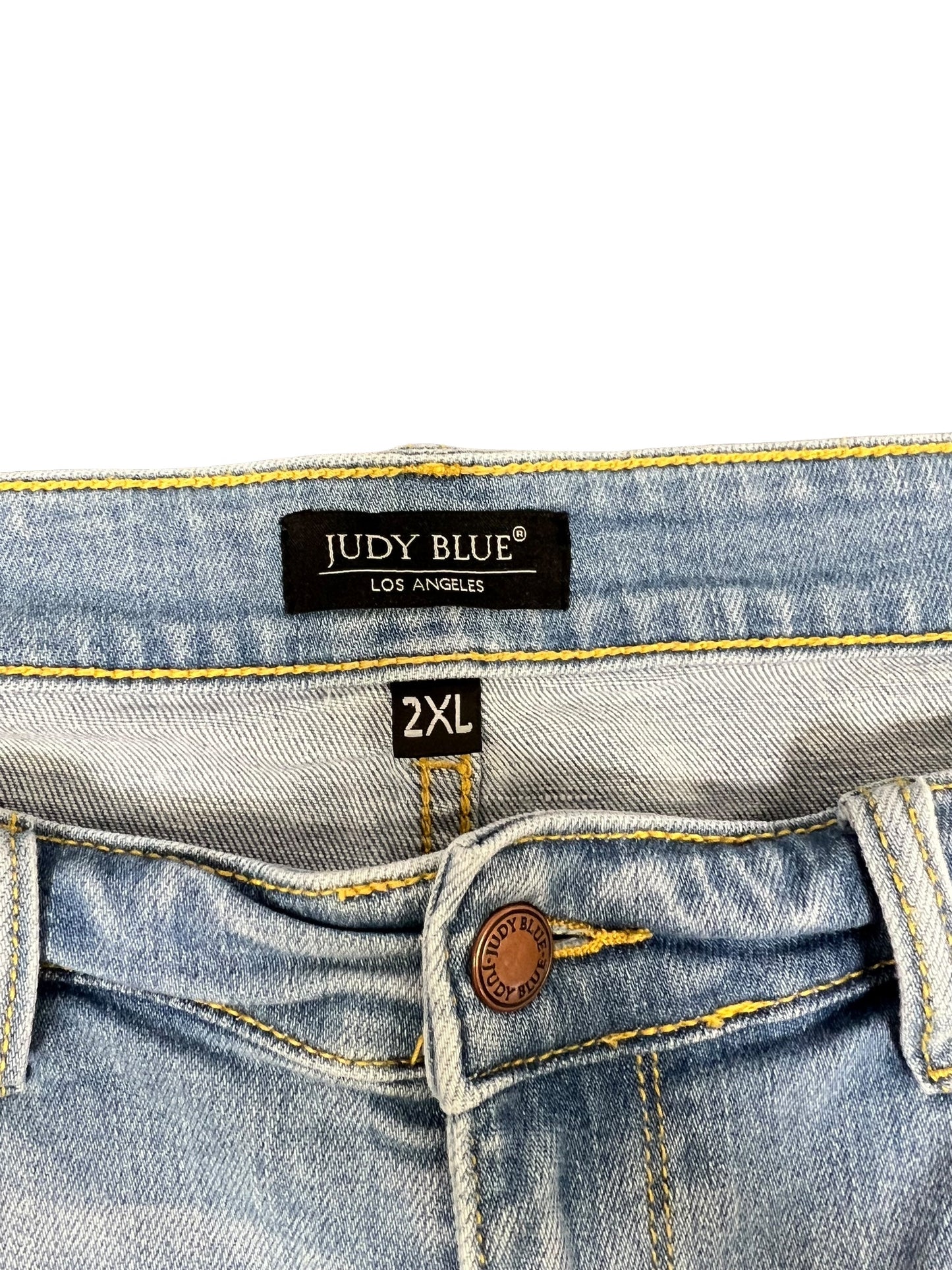 Blue Denim Shorts Judy Blue, Size 2x