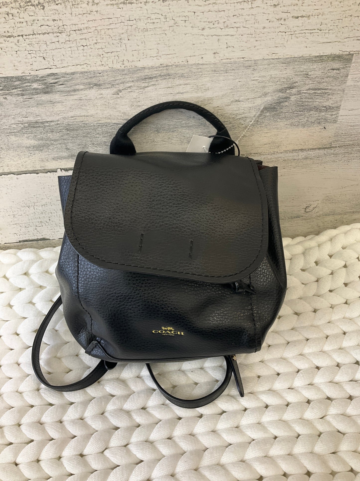 Backpack Designer Coach, Size Small