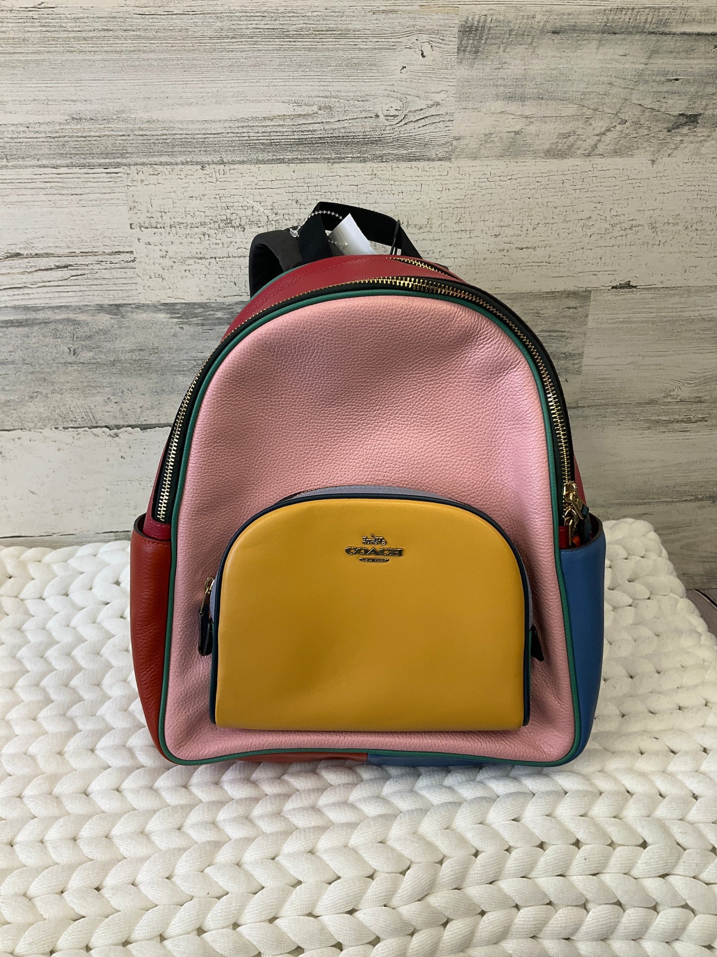 Backpack Designer Coach, Size Large