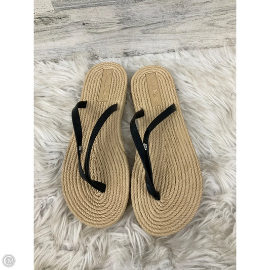 Sandals Flip Flops By Tommy Bahama In Black, Size: 8