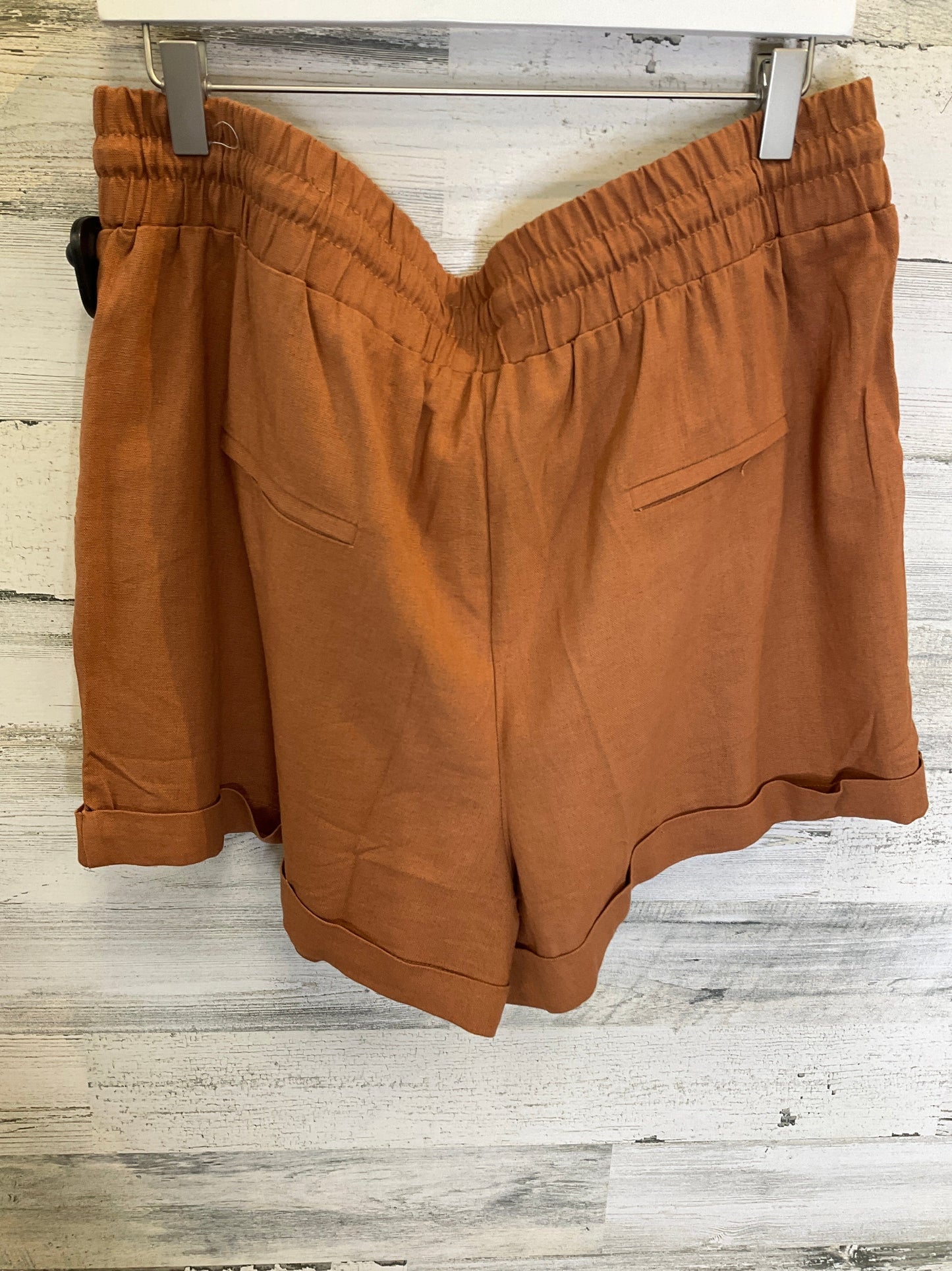 Brown Shorts Clothes Mentor, Size 1x