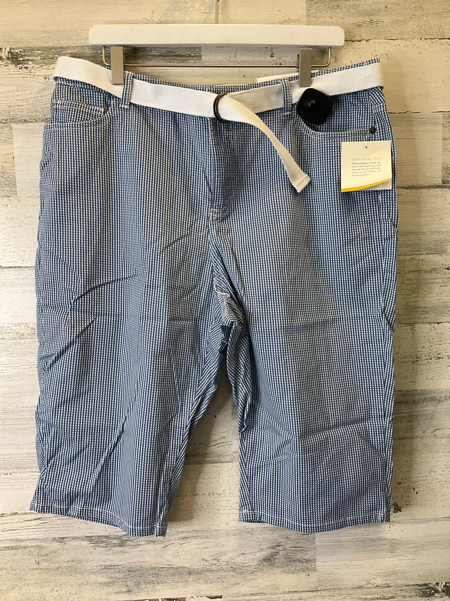 Blue Shorts Croft And Barrow, Size 16