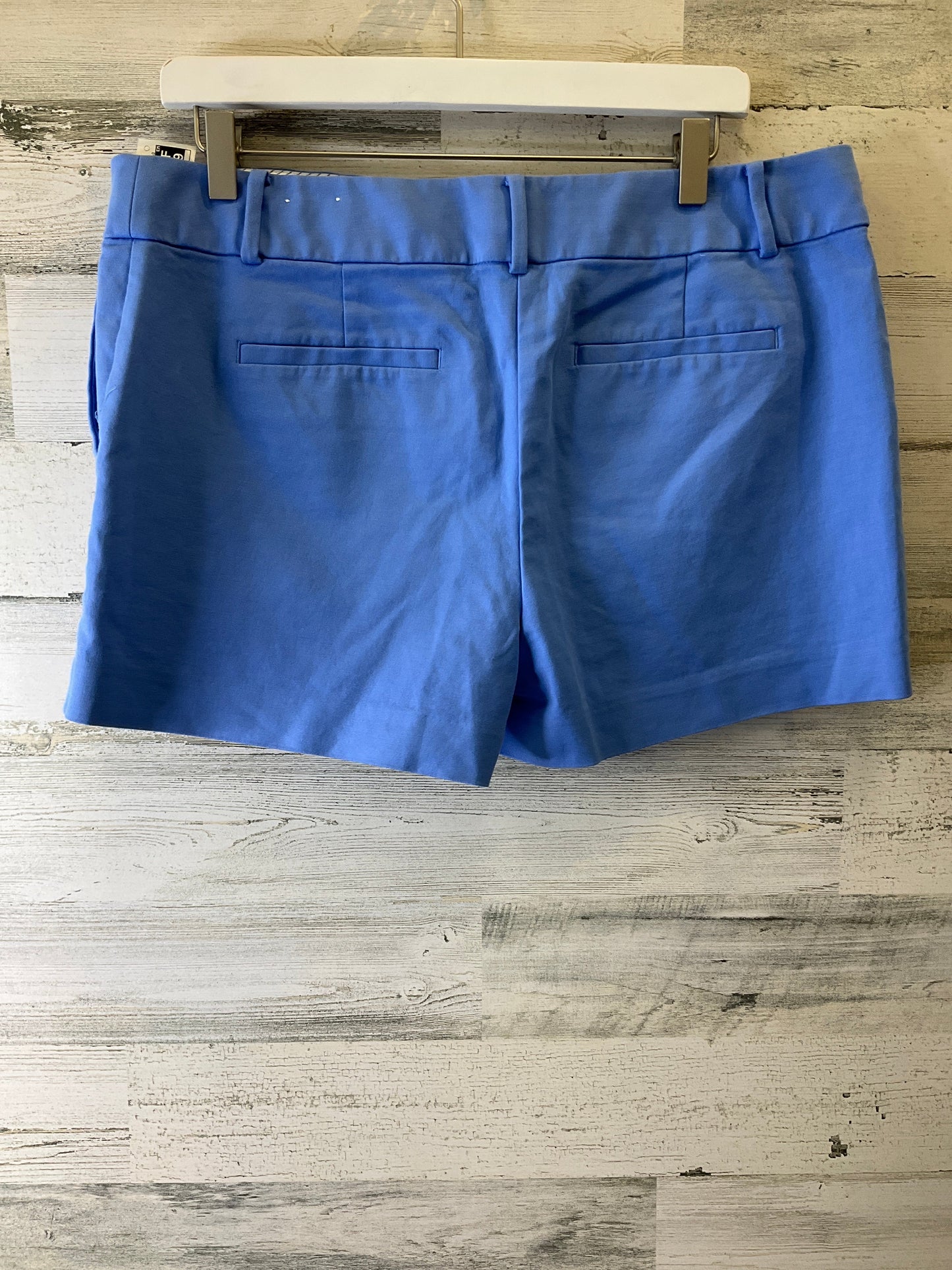 Blue Shorts Loft, Size 12