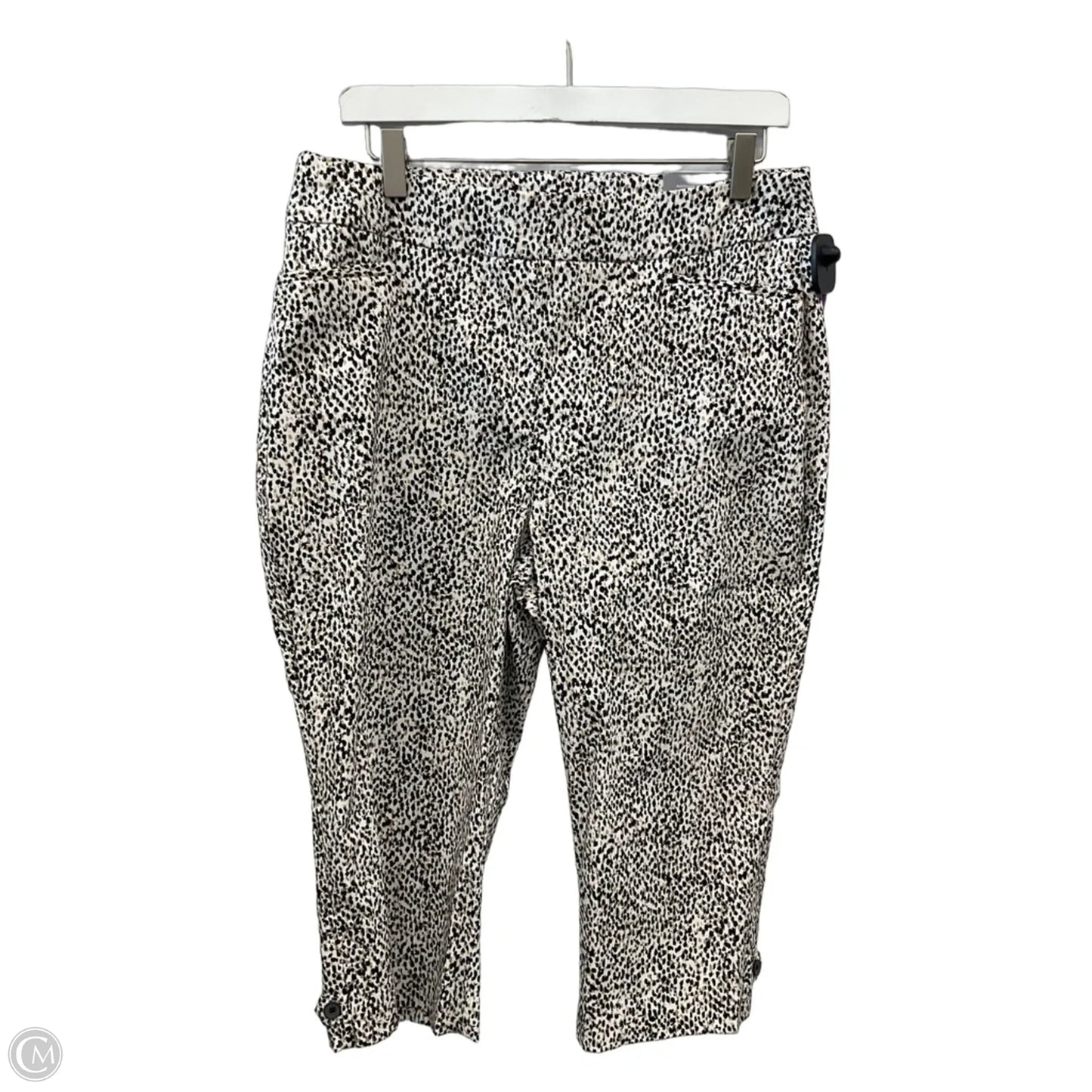 Capris By Chicos In Black & Tan, Size: 10