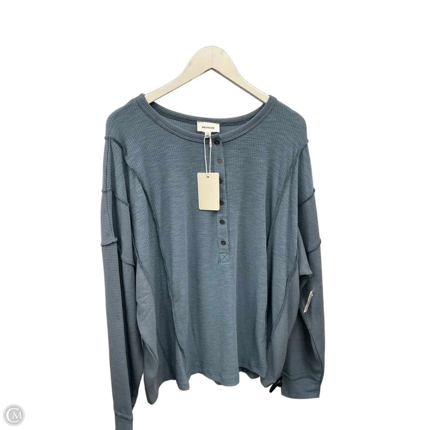Top Long Sleeve By Heyson In Blue, Size: 2x
