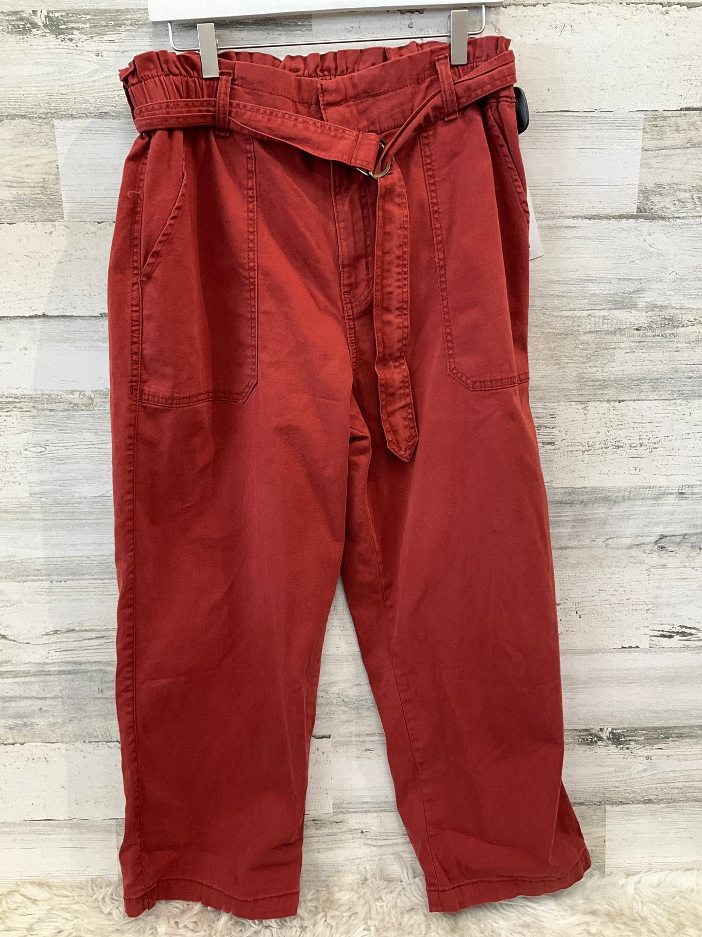 Pants Cargo & Utility By Time And Tru In Orange, Size: 16