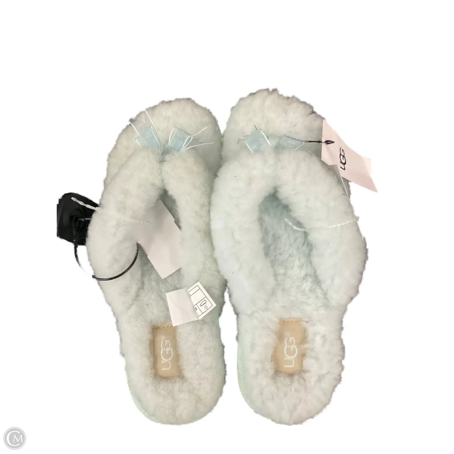 Slippers Designer By Ugg In Green size 8