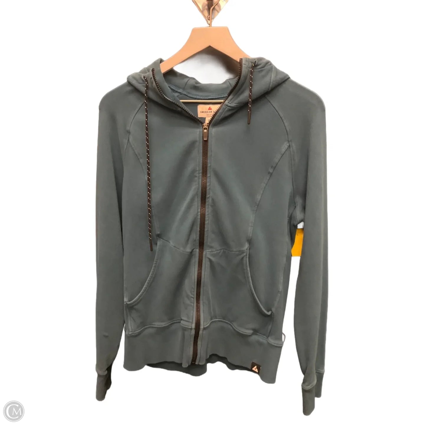 Sweatshirt Hoodie By Clothes Mentor In Teal, Size: M