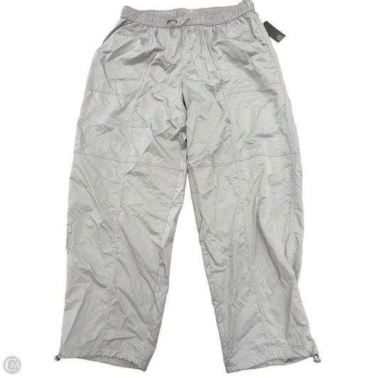 Athletic Pants By Wild Fable In Grey, Size: 2x