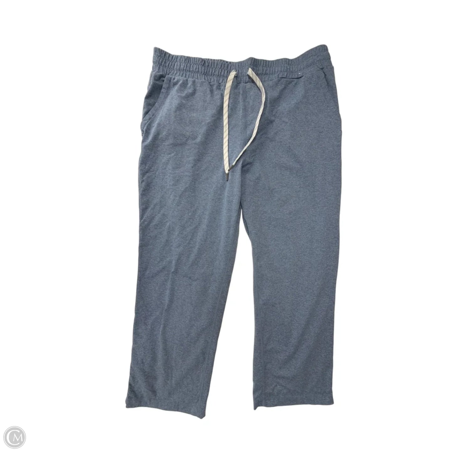 Athletic Pants By Kirkland In Blue, Size: L