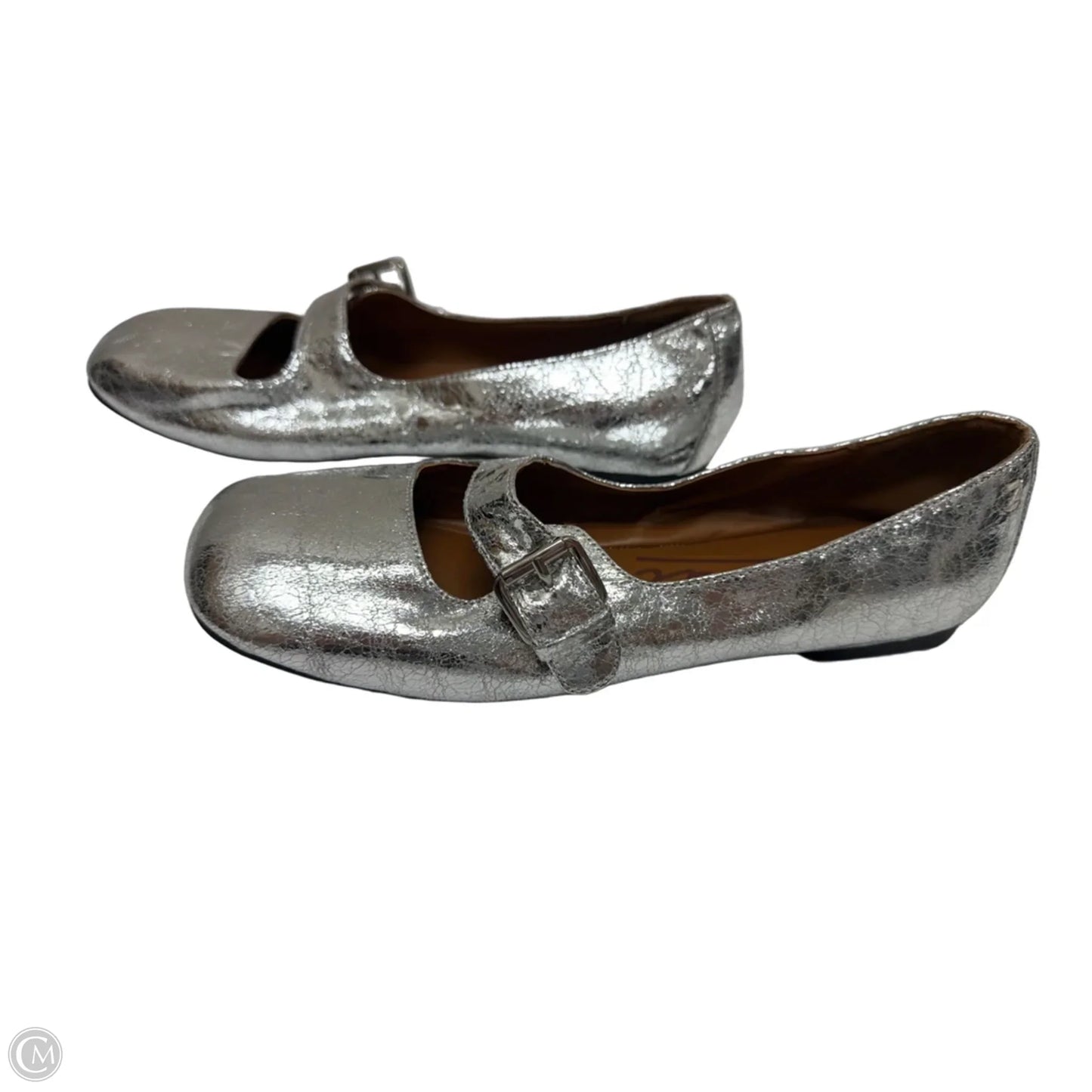 Shoes Flats By Zodiac In Silver, Size: 8