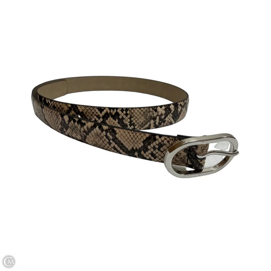Belt By Clothes Mentor