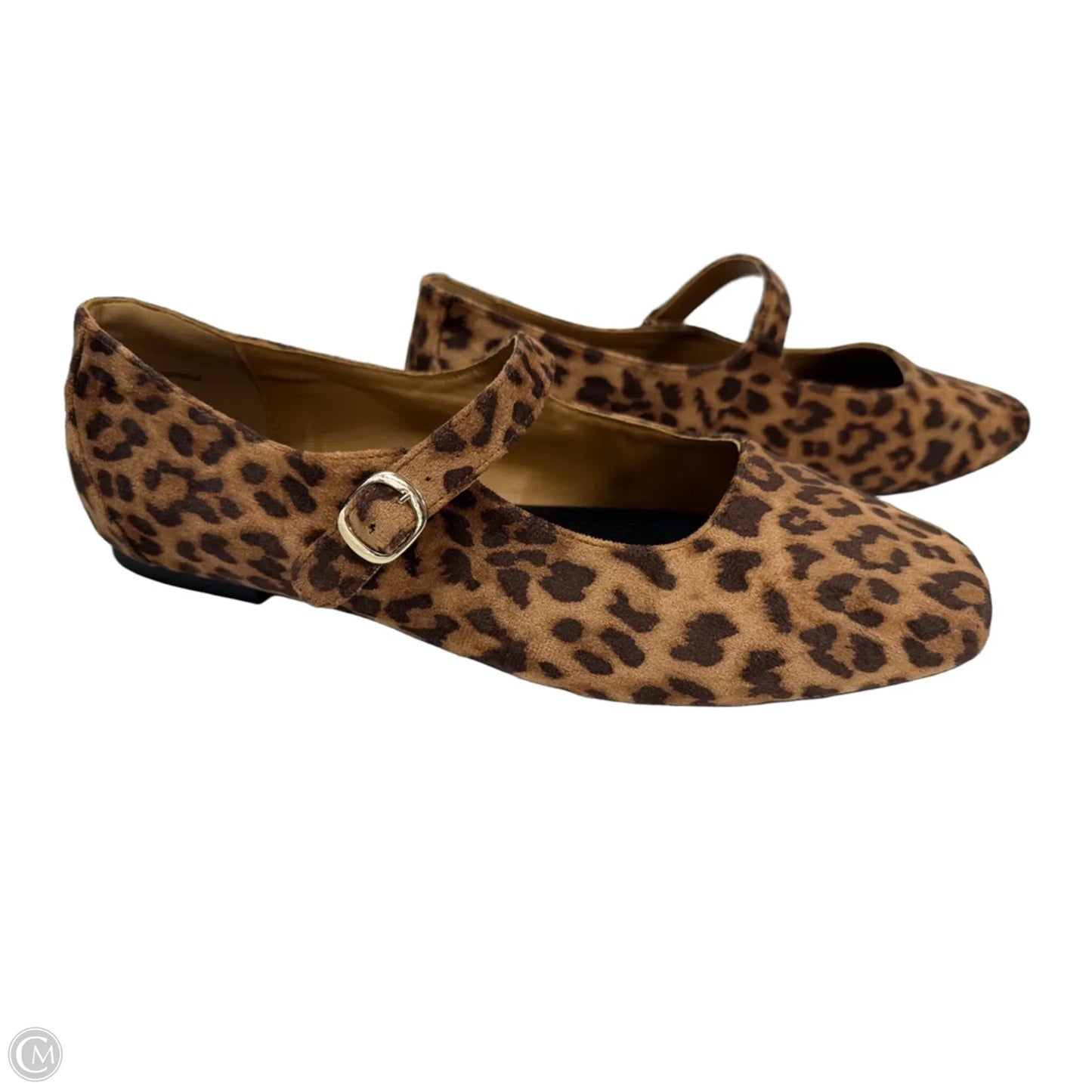 Shoes Flats By Torrid In Animal Print, Size: 11