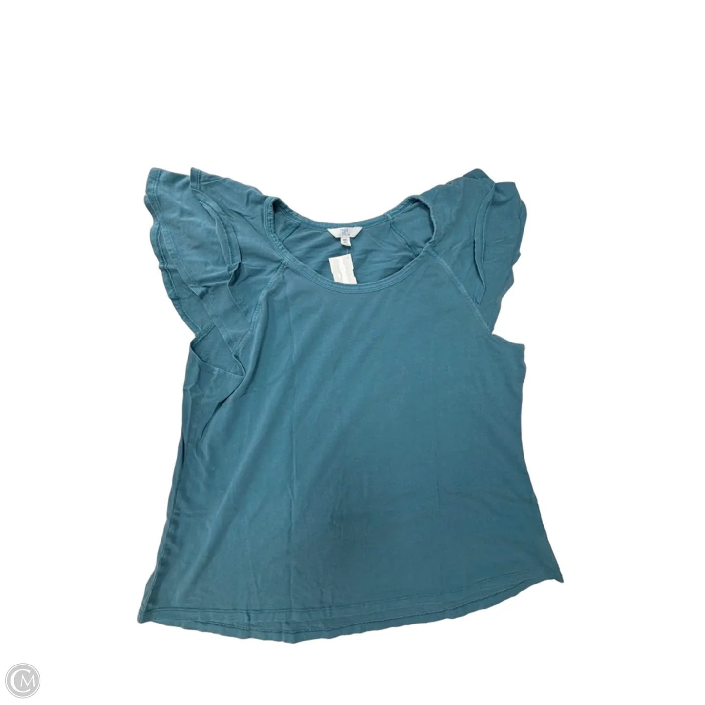Top Short Sleeve By Time And Tru In Blue, Size: 1x