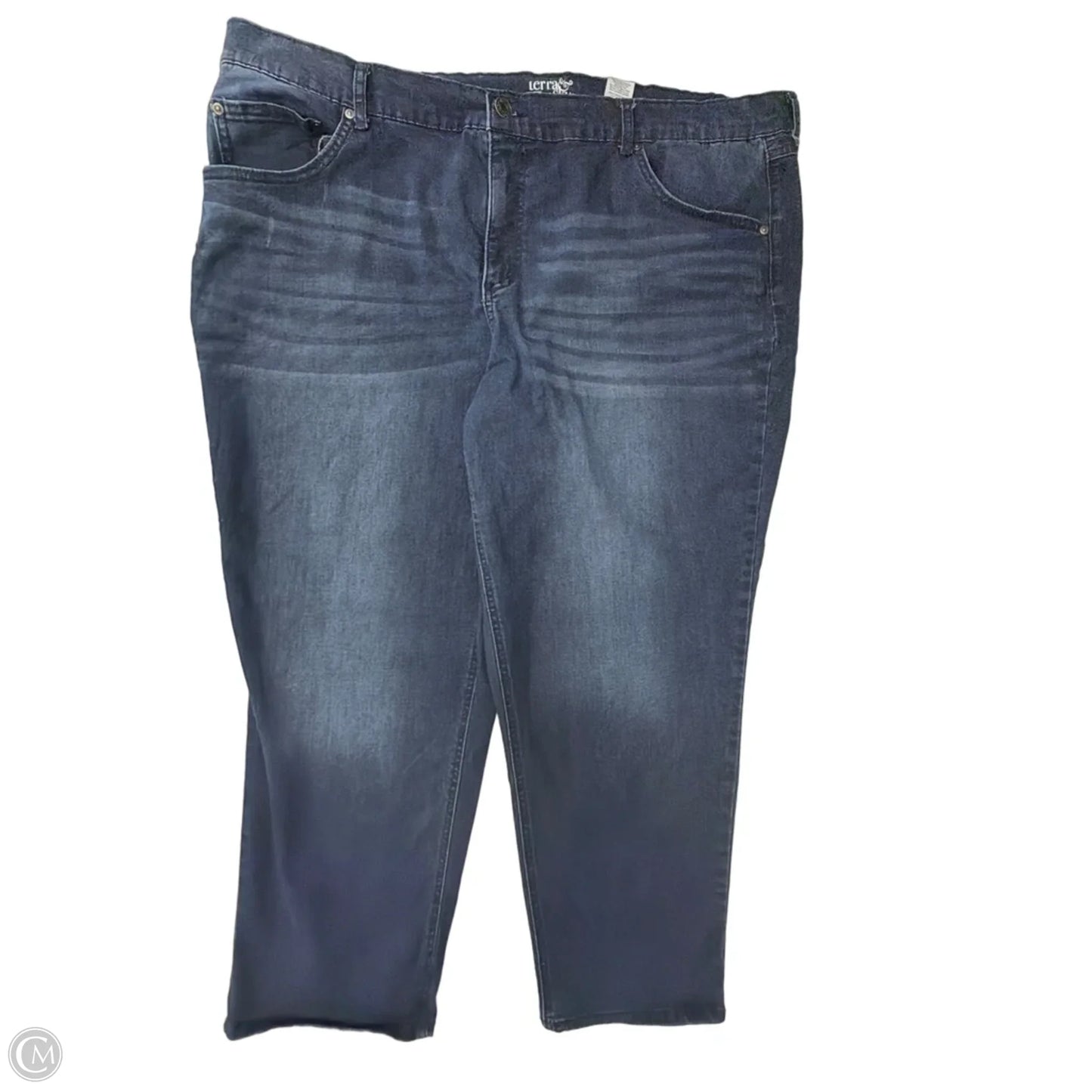 Jeans Skinny By Terra & Sky In Blue Denim, Size: 26