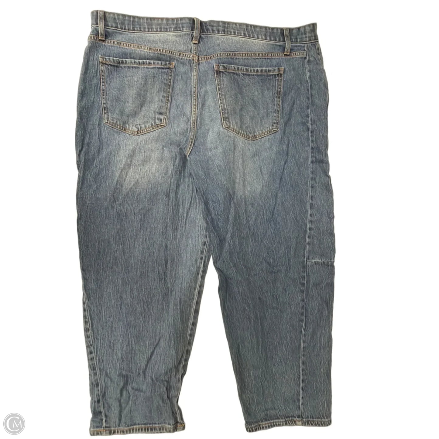 Jeans Skinny By Terra & Sky In Blue Denim, Size: 24