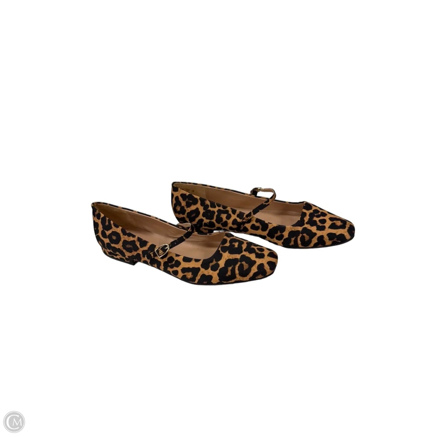 Shoes Flats By Franco Sarto In Animal Print, Size: 10