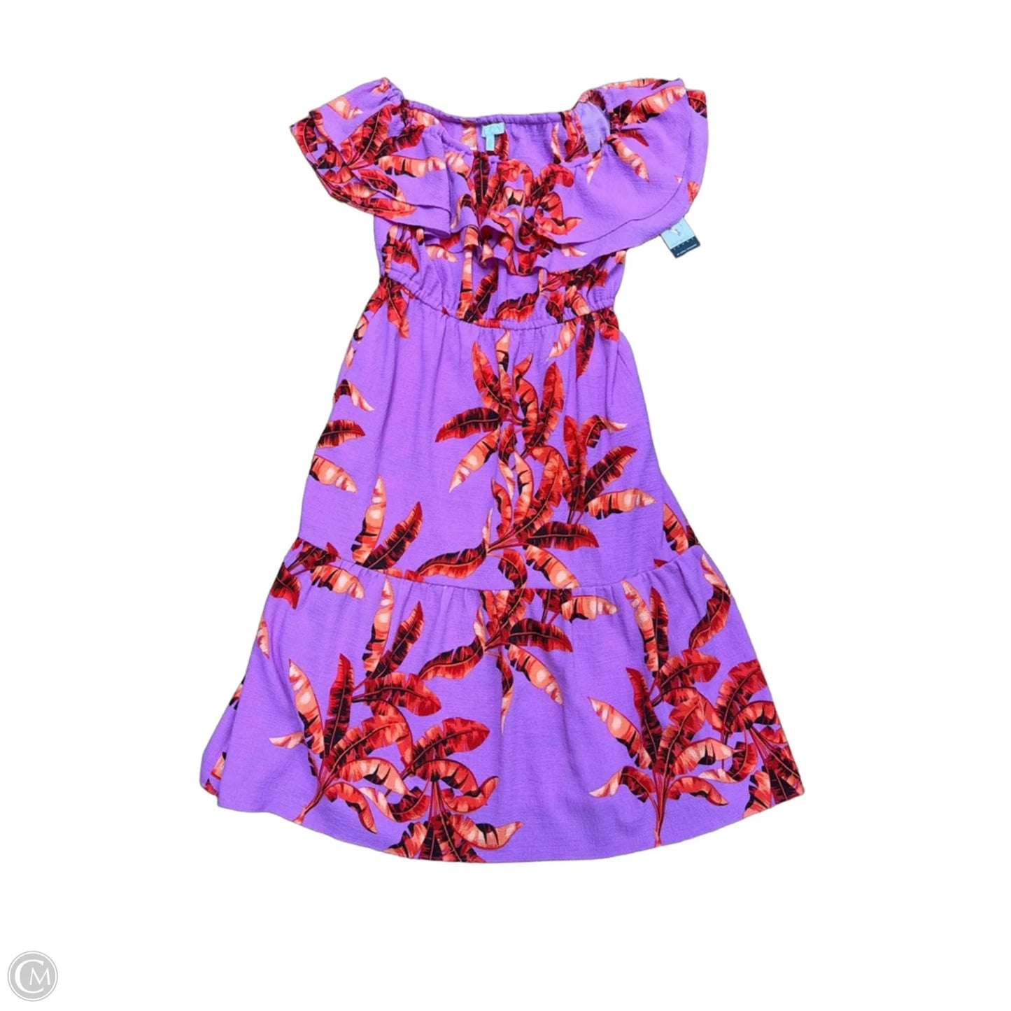 Dress Casual Maxi By Sofia By Sofia Vergara In Floral Print, Size: Xl