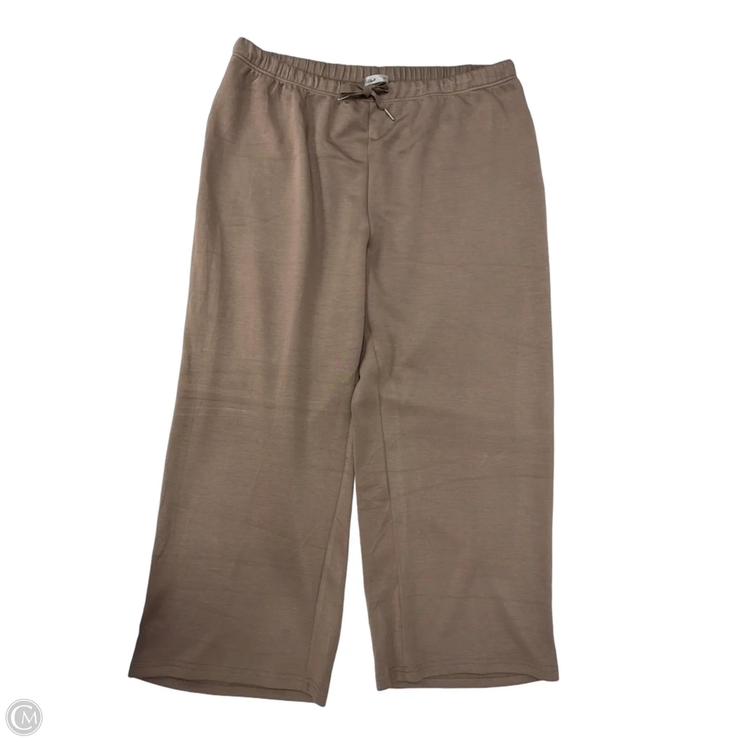 Pants Set 2pc By Clothes Mentor In Brown, Size: 3x