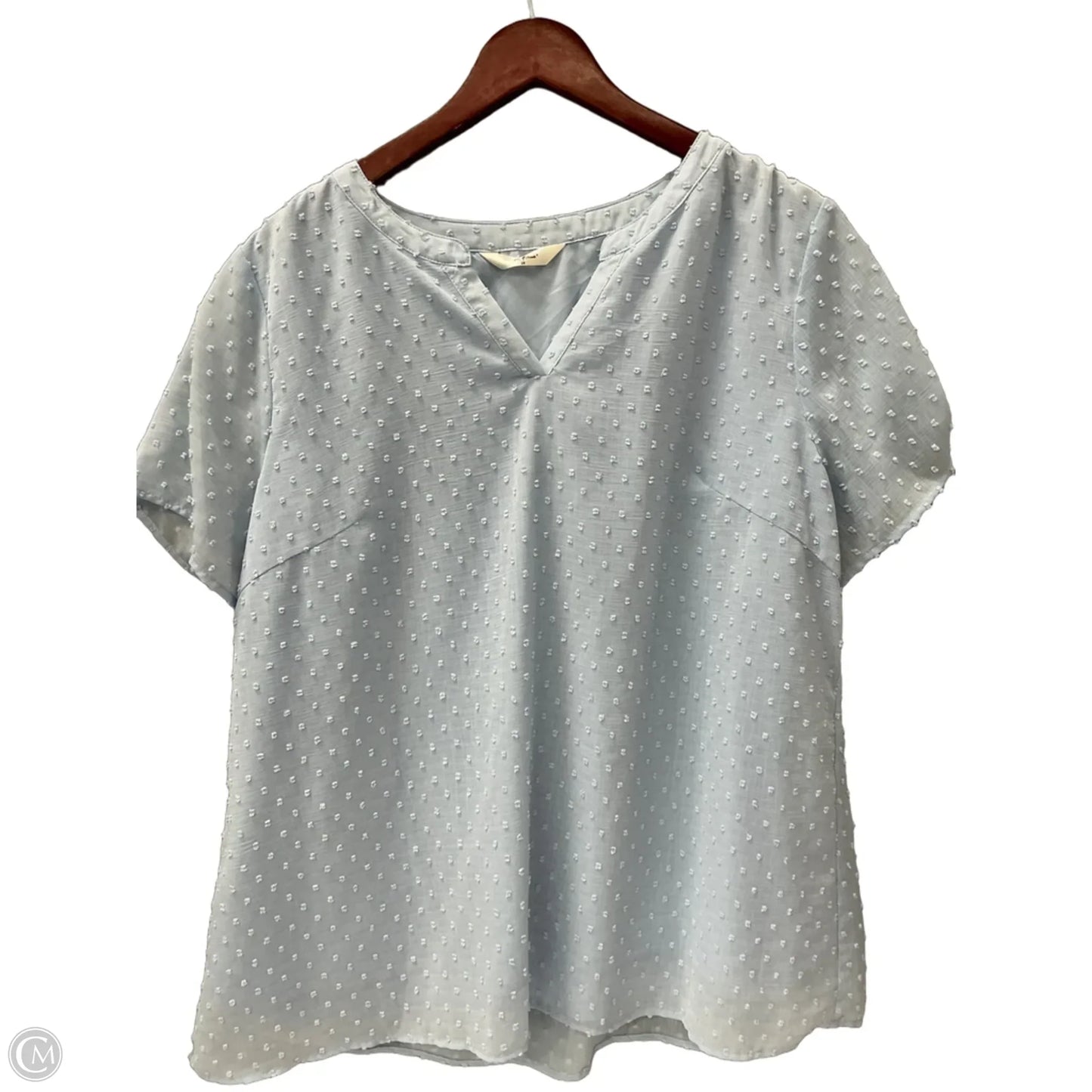 Top Short Sleeve By Agnes Orinda In Blue, Size: 1x
