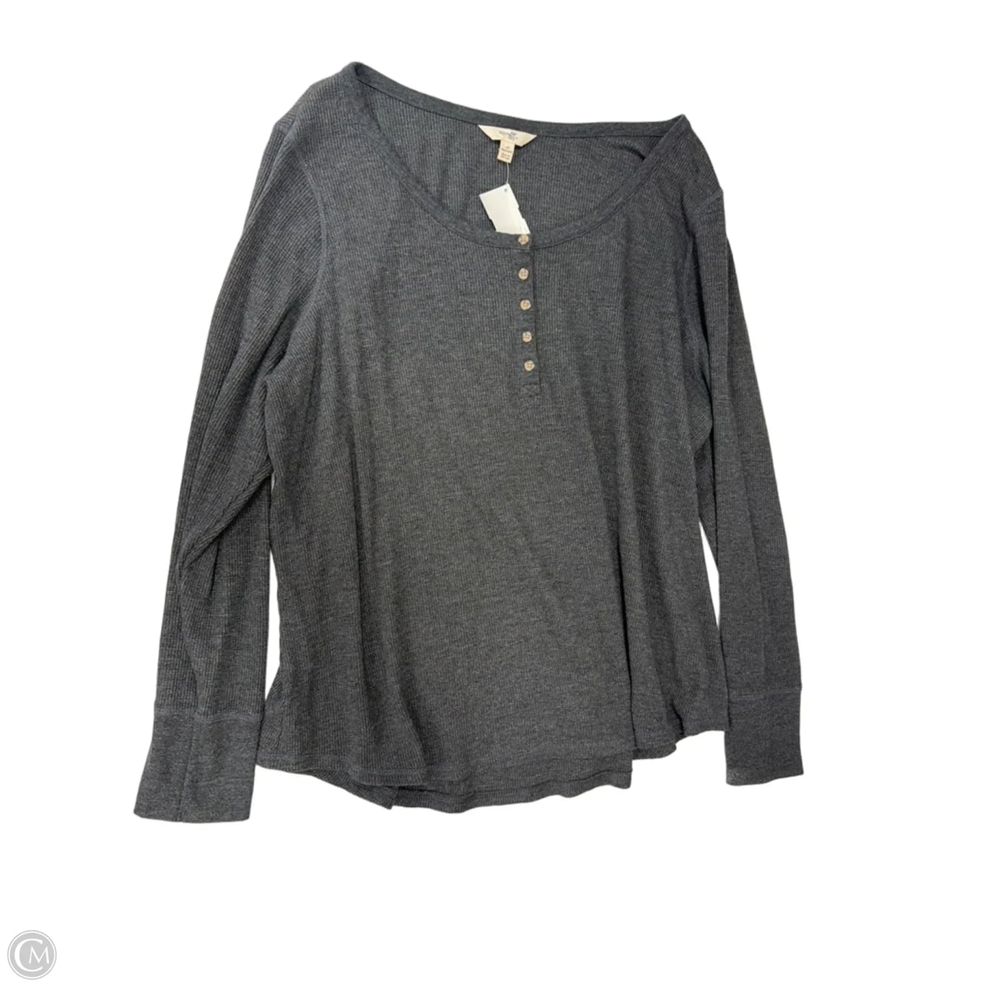 Top Long Sleeve By Terra & Sky In Grey, Size: 2x