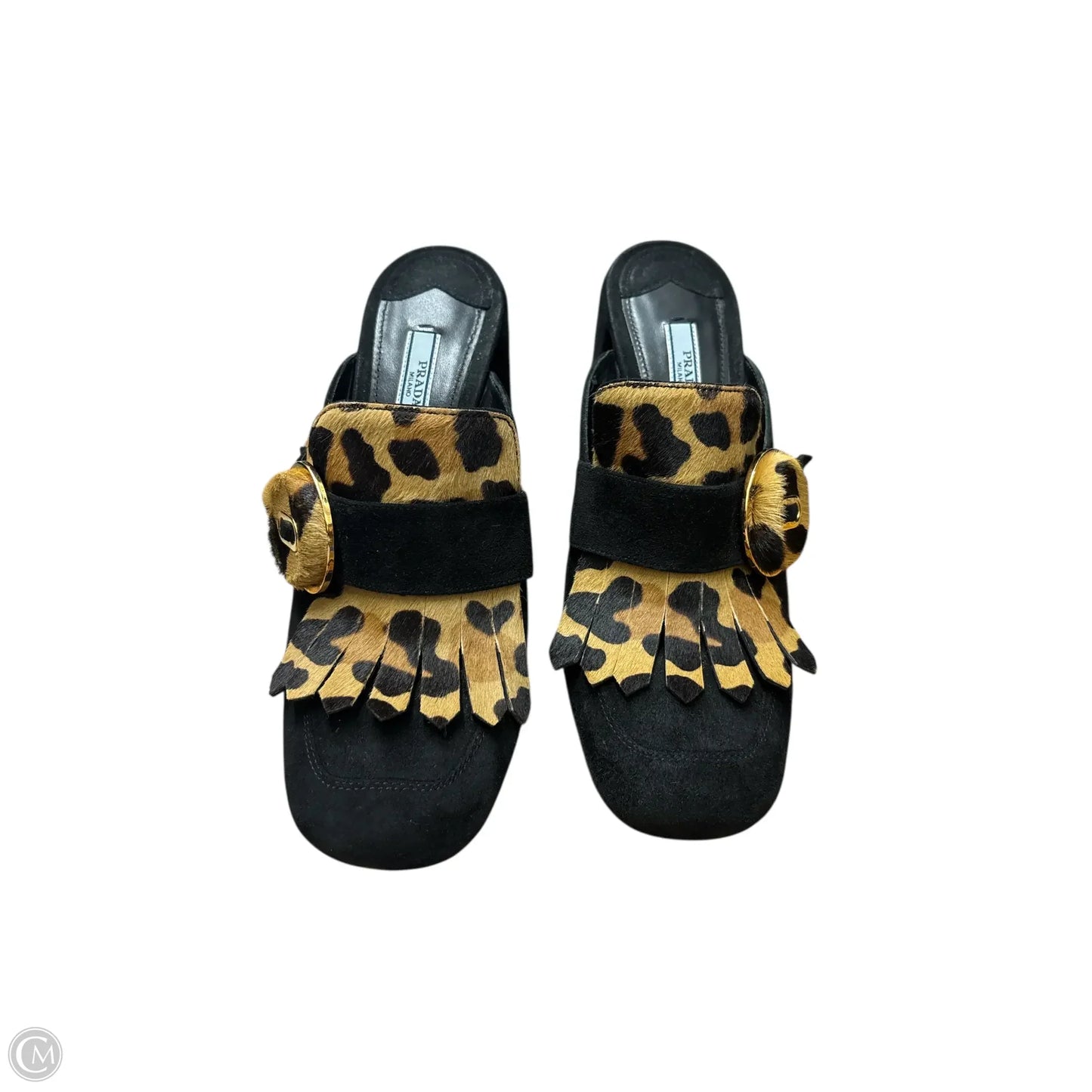 Shoes Luxury Designer By Prada In Animal Print