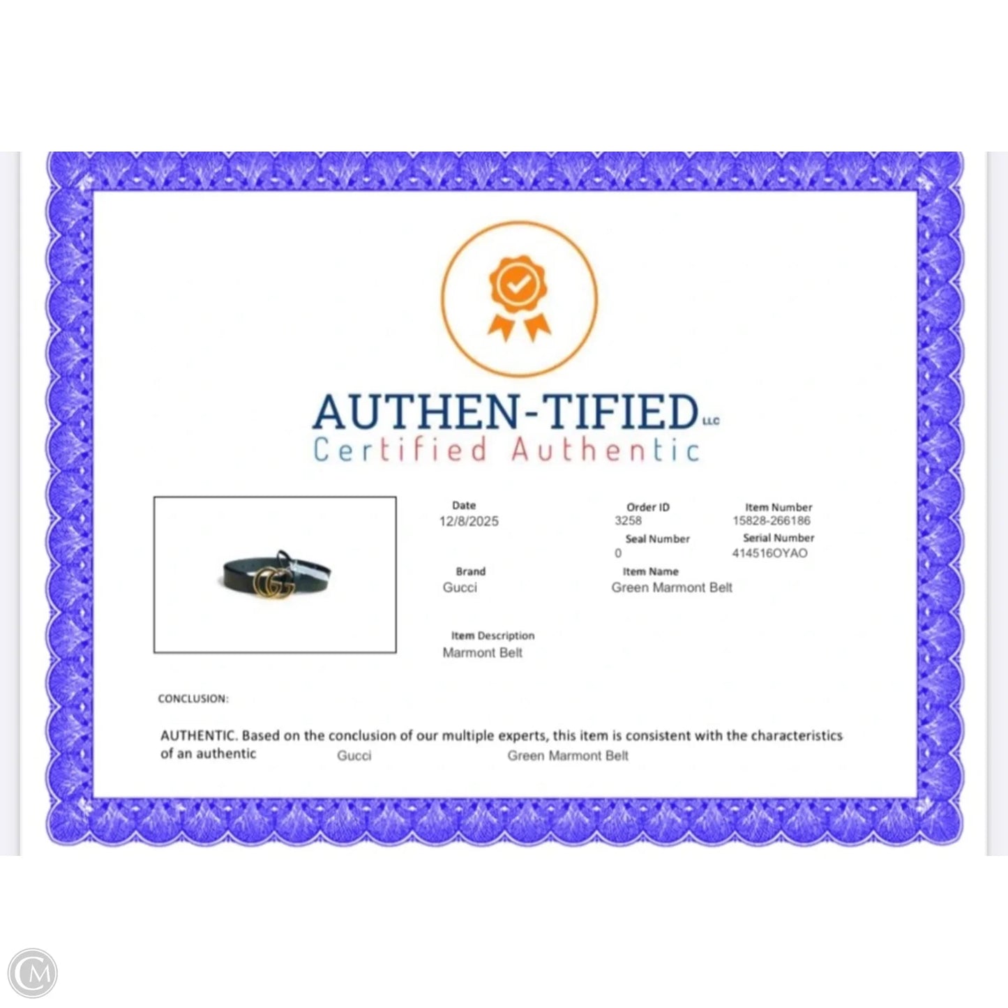 Belt Luxury Designer By Gucci