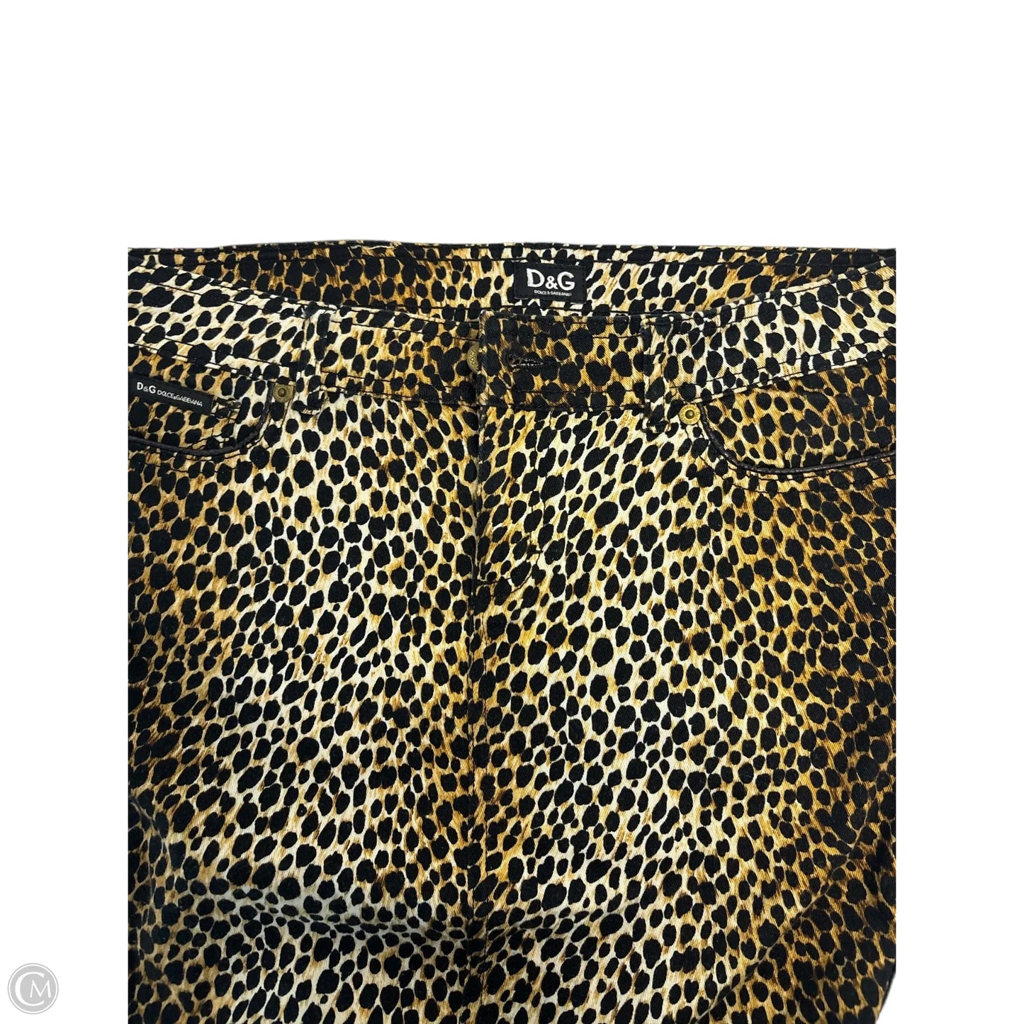 Skirt Luxury Designer By Dolce And Gabbana In Animal Print, Size: 2