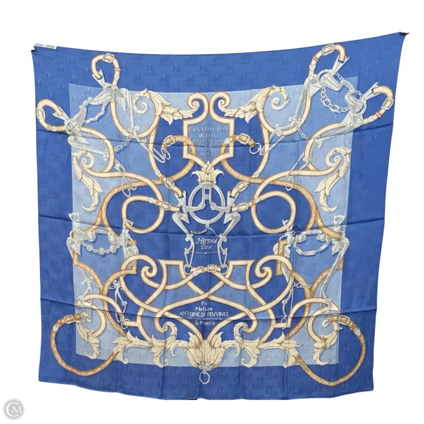 Scarf Luxury Designer By Hermes
