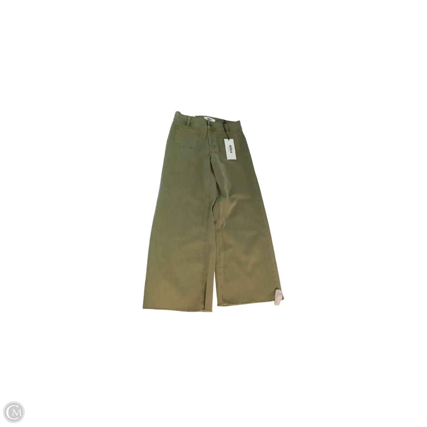 Pants Cargo & Utility By Clothes Mentor In Green, Size: 2