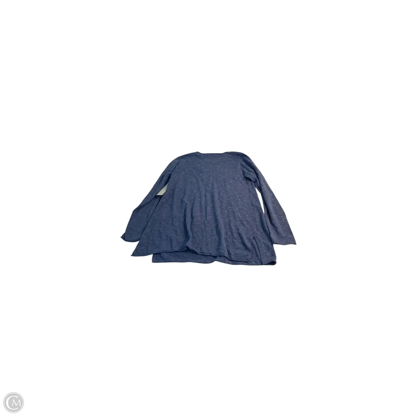 Top Long Sleeve By Eileen Fisher In Blue, Size: Sp