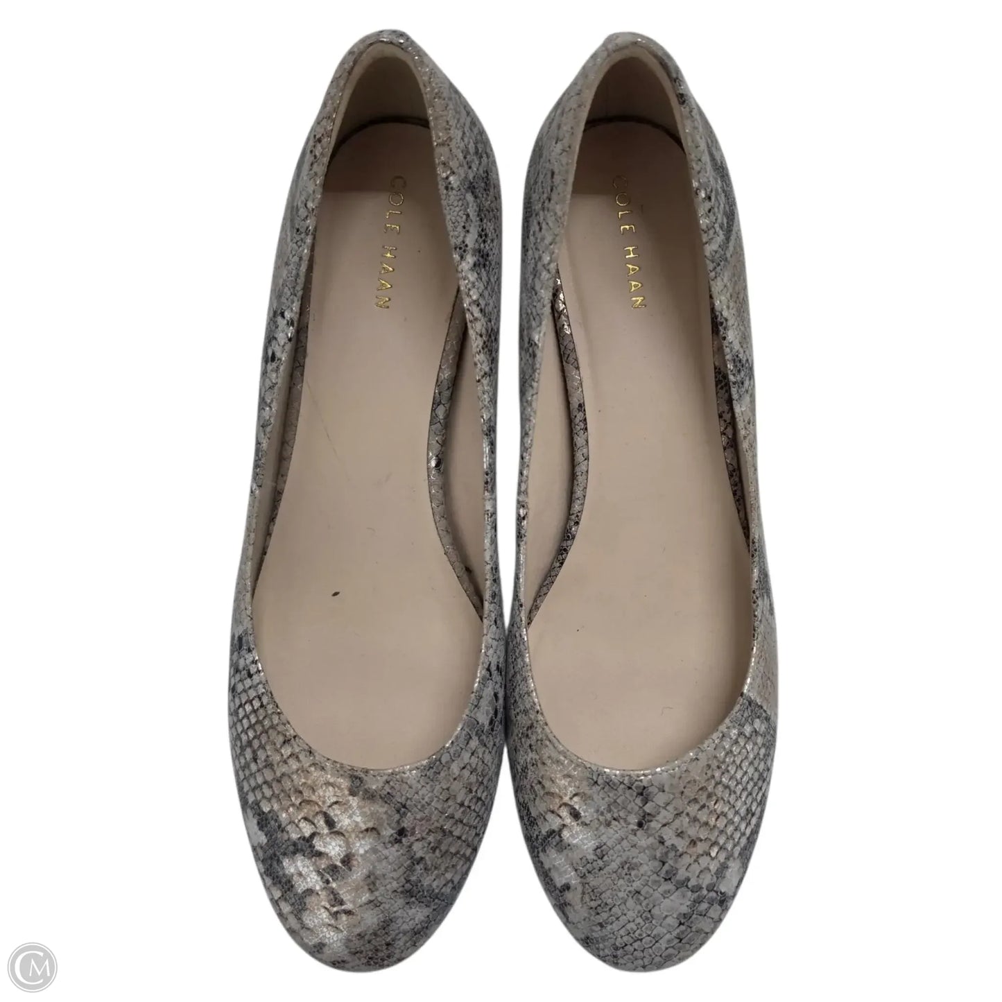 Shoes Heels Block By Cole-haan In Snakeskin Print, Size: 9