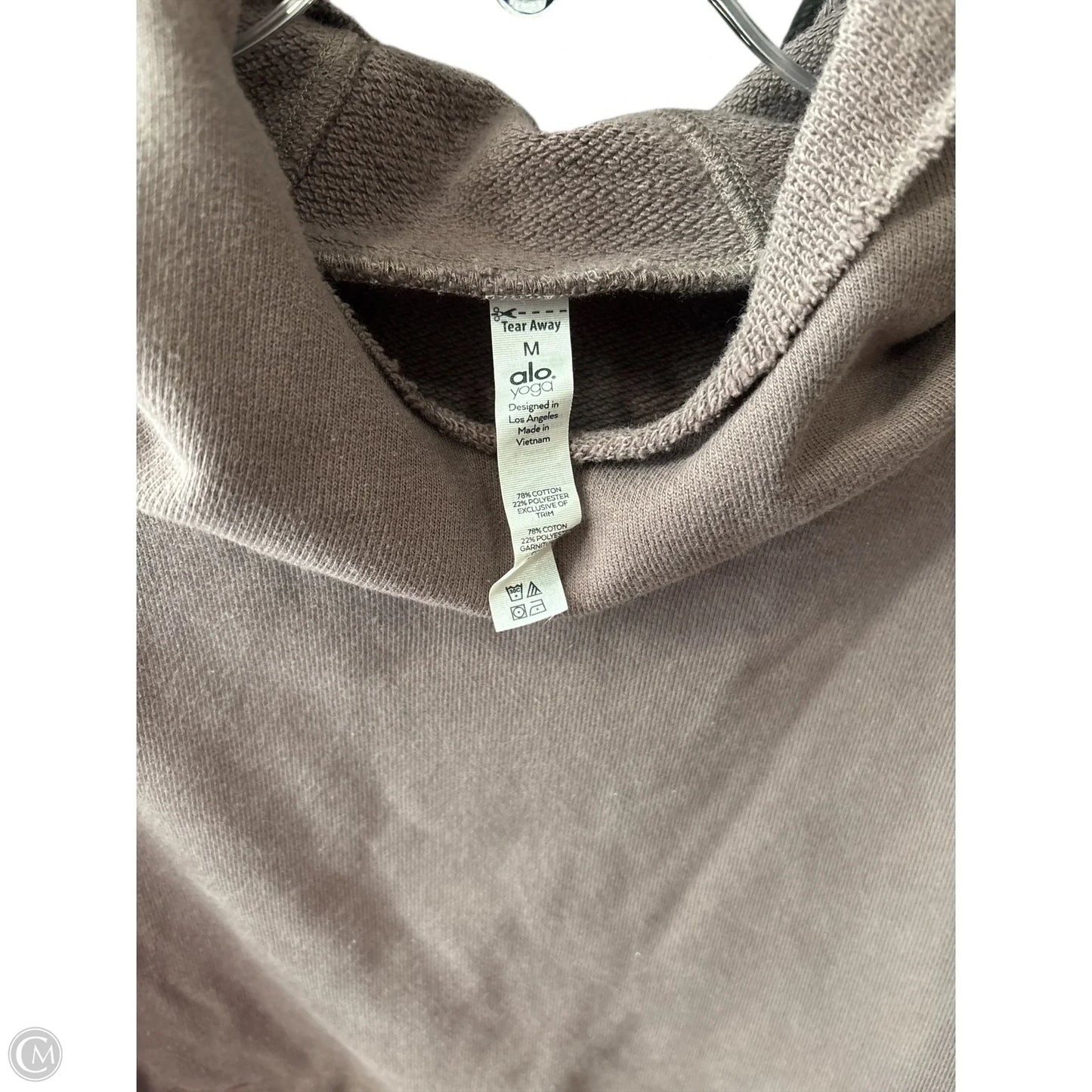 Sweatshirt Hoodie By Alo In Brown, Size: M
