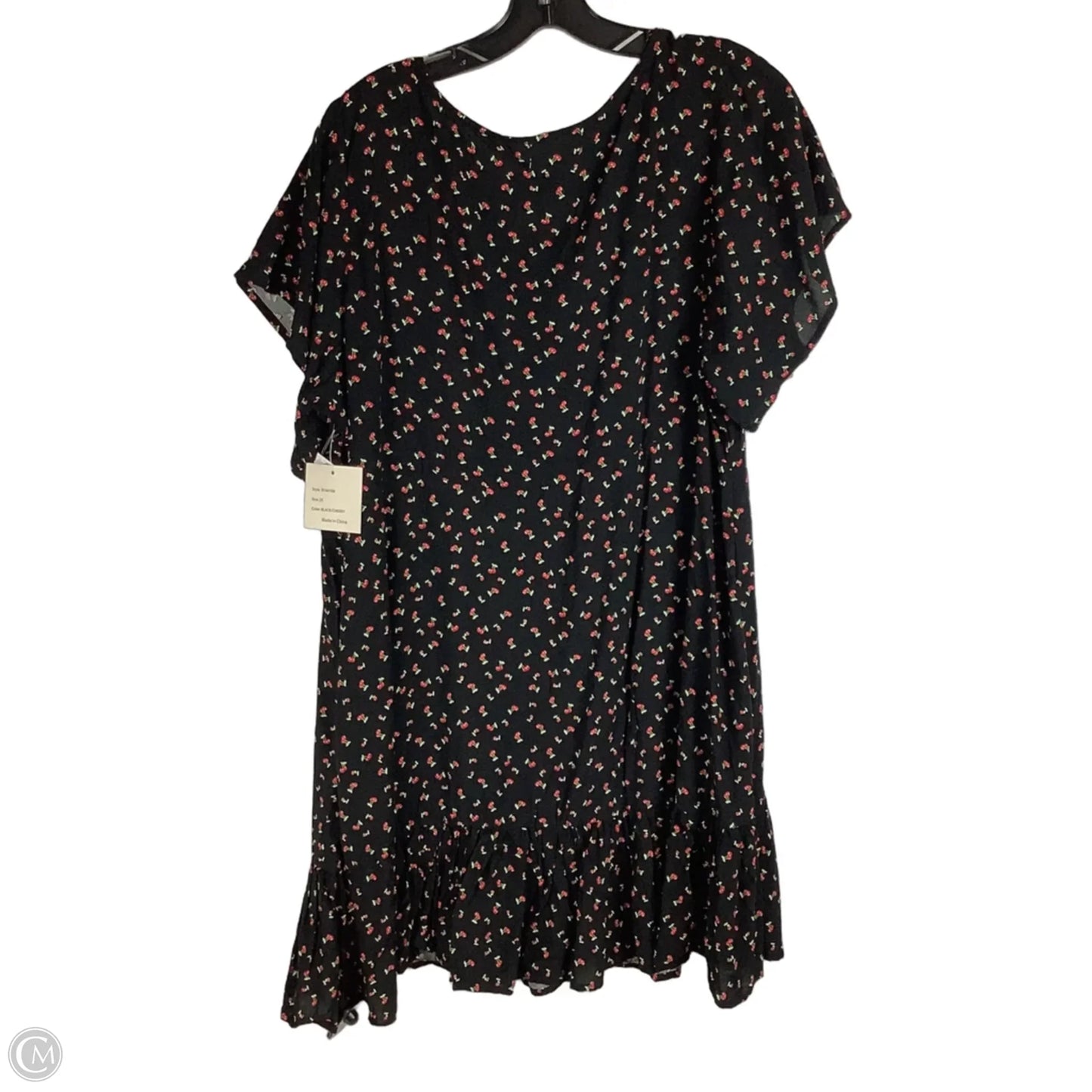 Dress Casual Short By Passport In Black, Size: 2x