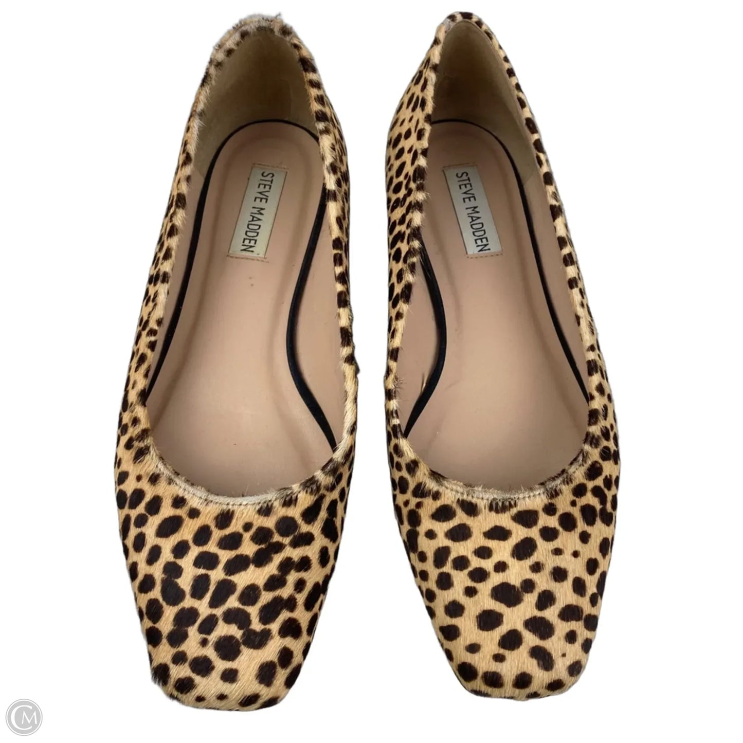 Shoes Flats By Steve Madden In Animal Print, Size: 7