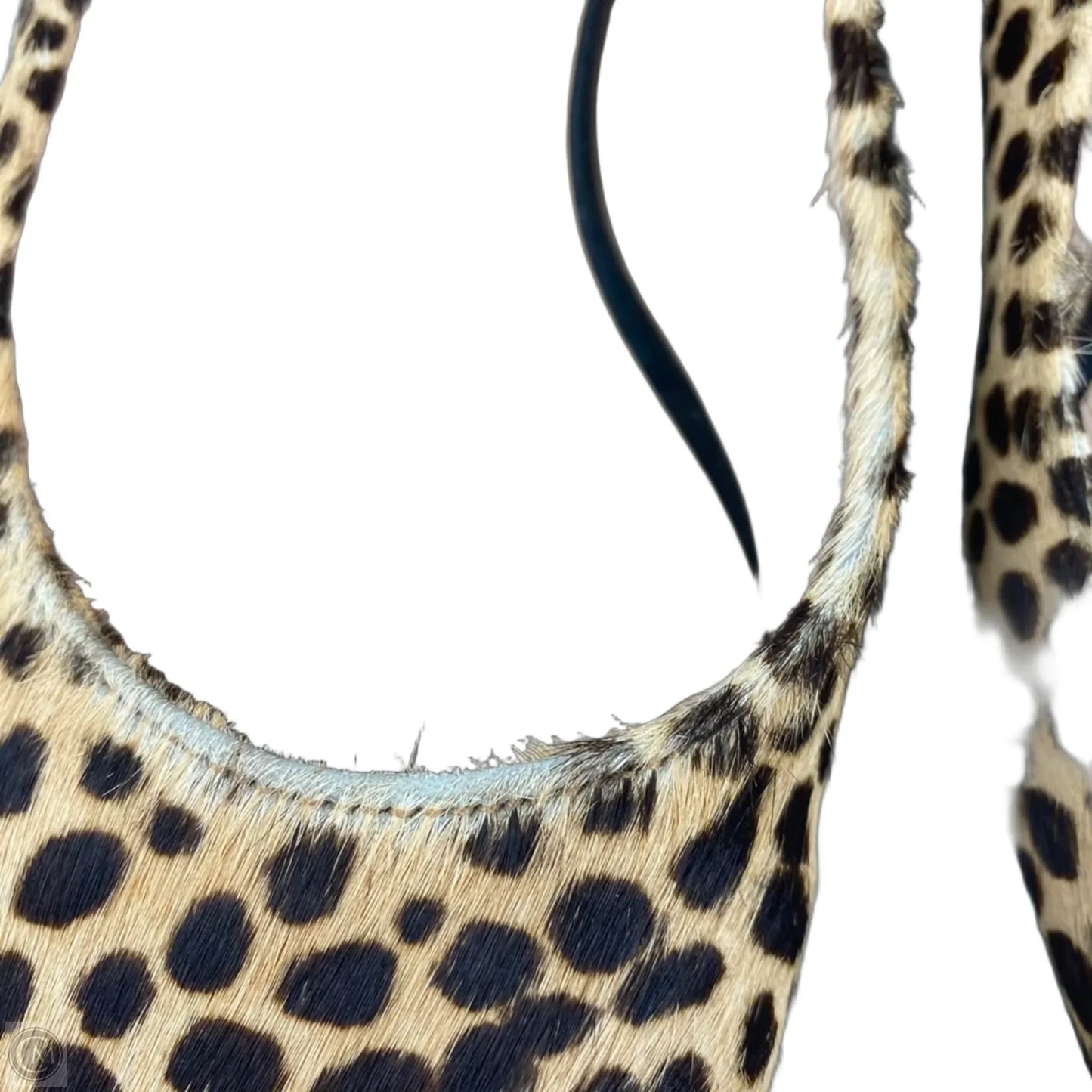 Shoes Flats By Steve Madden In Animal Print, Size: 7