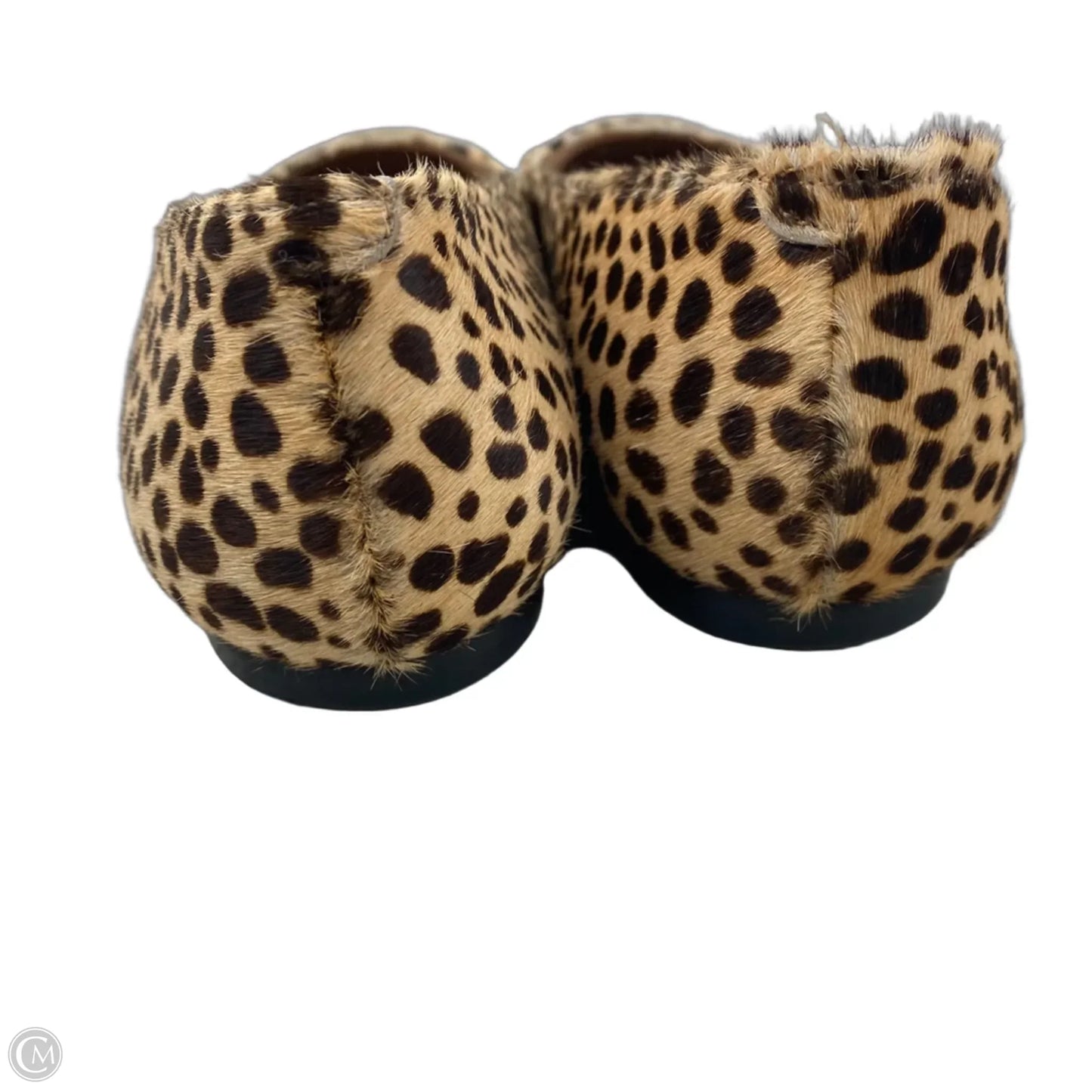 Shoes Flats By Steve Madden In Animal Print, Size: 7
