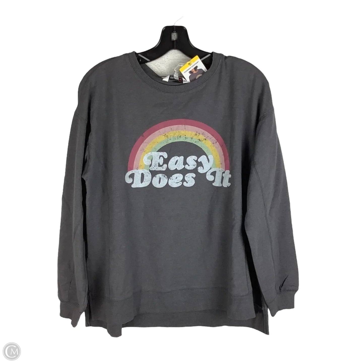 Sweatshirt Crewneck By Wildfox In Grey, Size: M