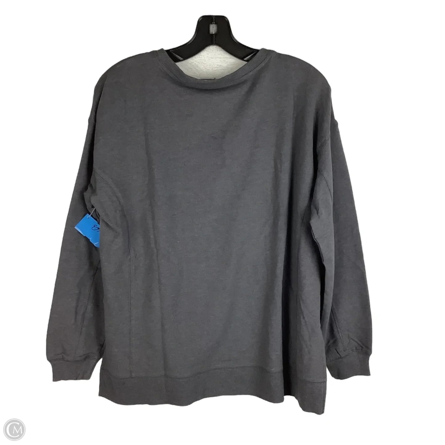 Sweatshirt Crewneck By Wildfox In Grey, Size: M