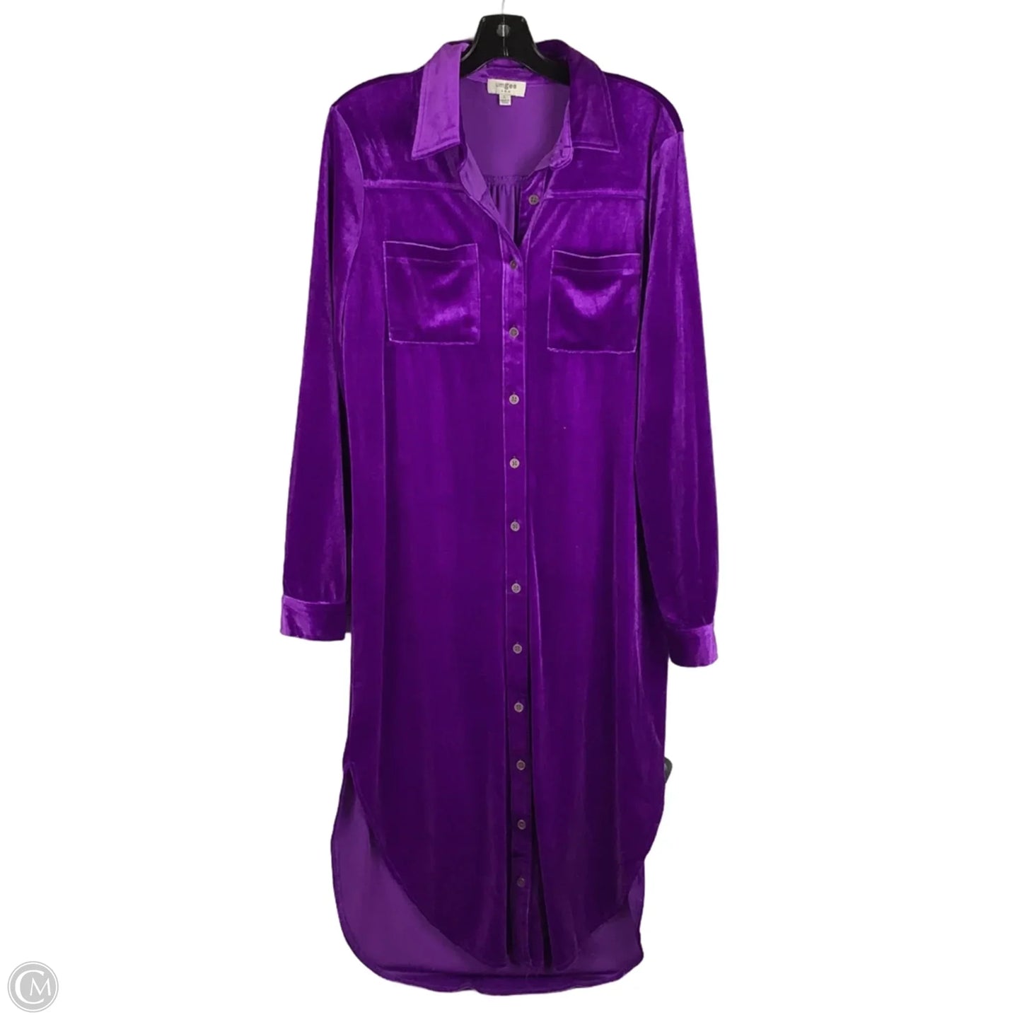 Dress Casual Maxi By Umgee In Purple, Size: L
