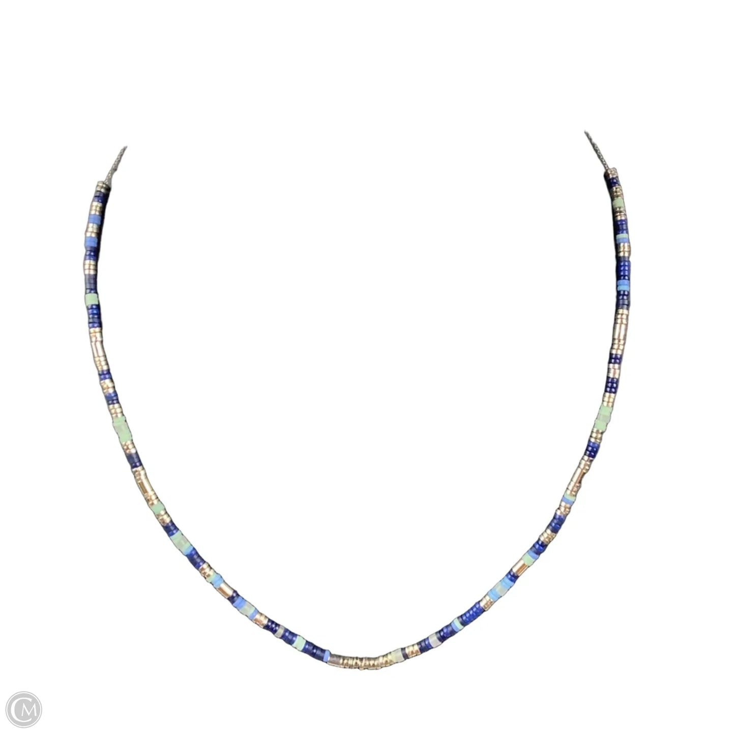 Necklace Chain By Loft