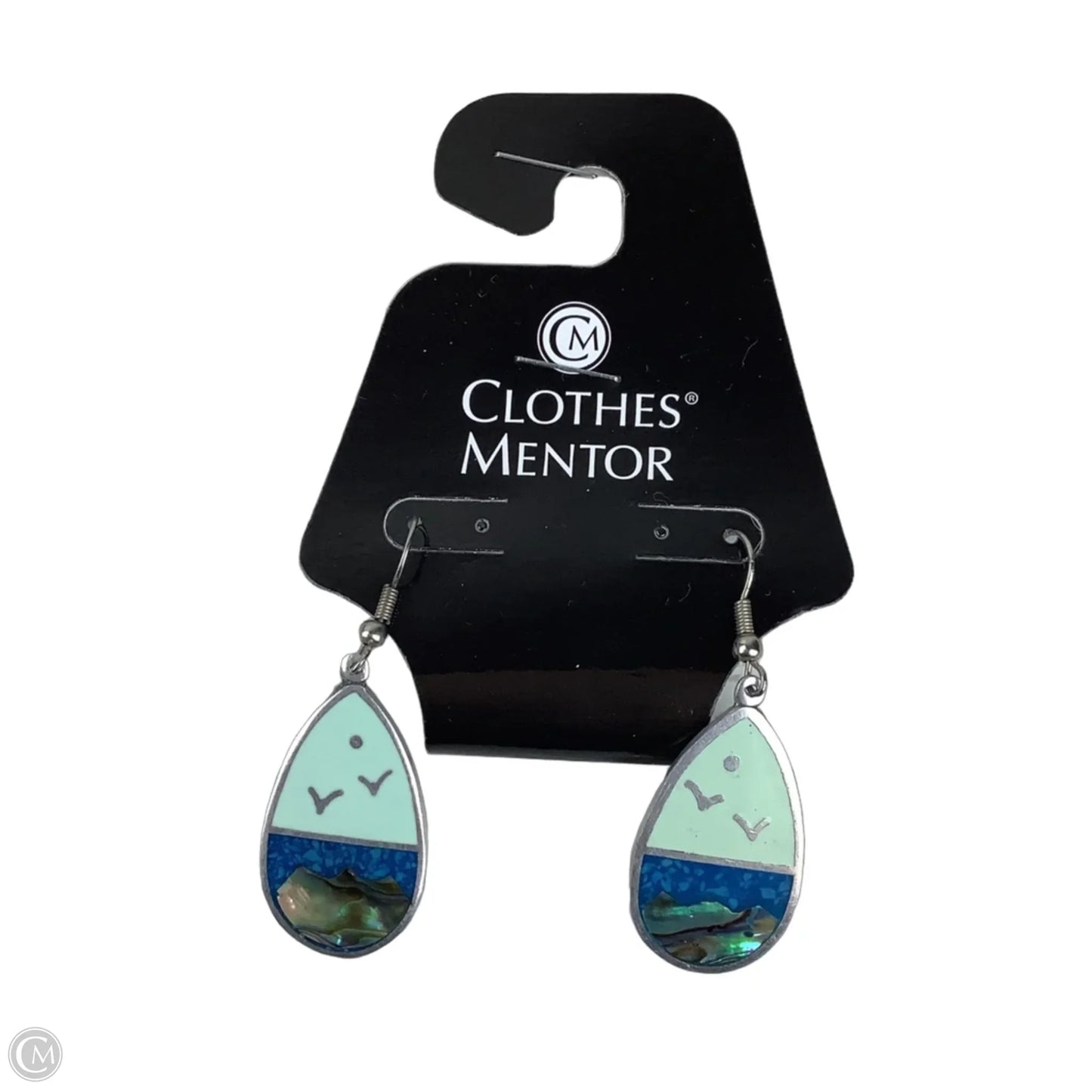 Earrings Dangle/drop By Clothes Mentor