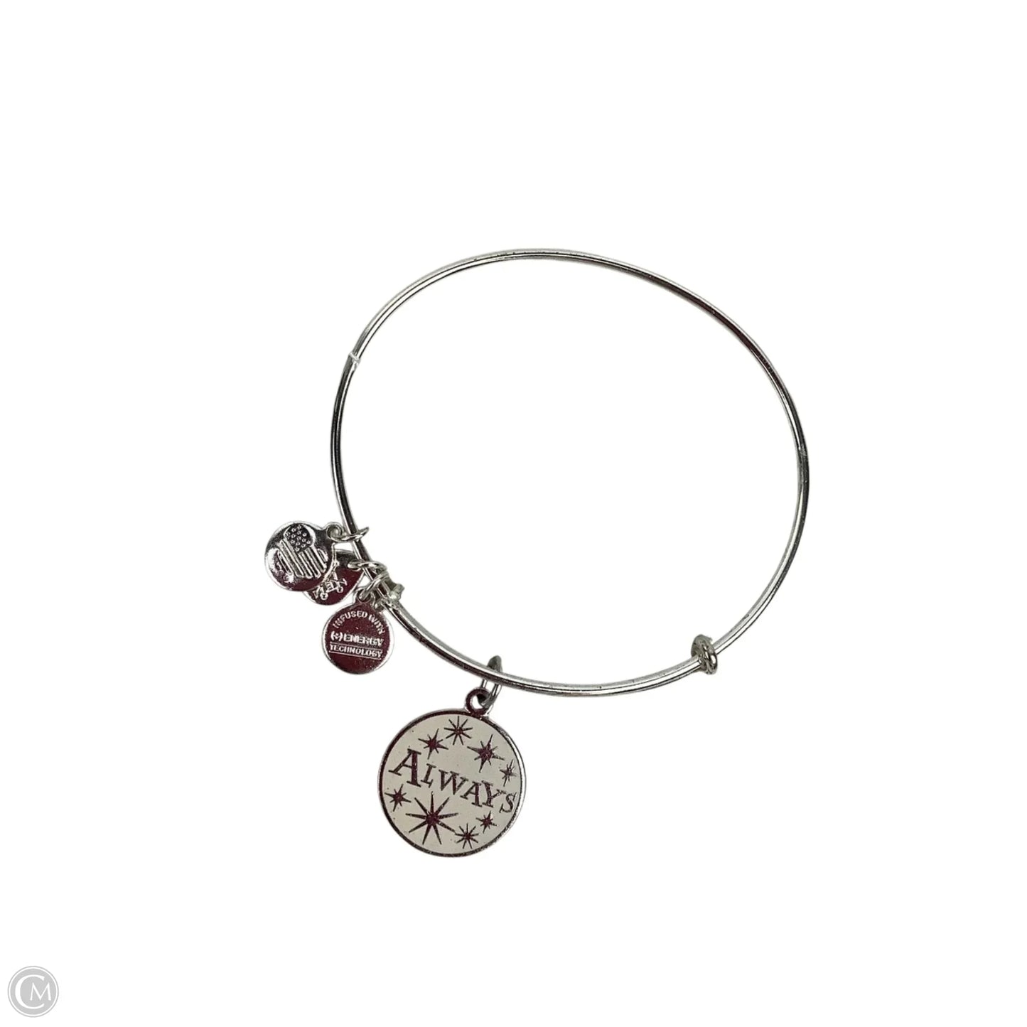 Bracelet Chain By Alex And Ani