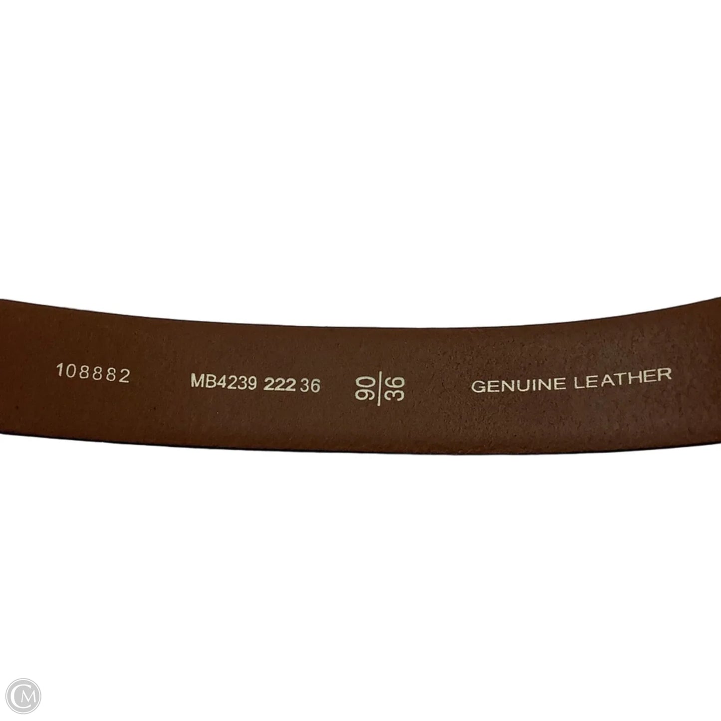 Belt By Fossil size 36