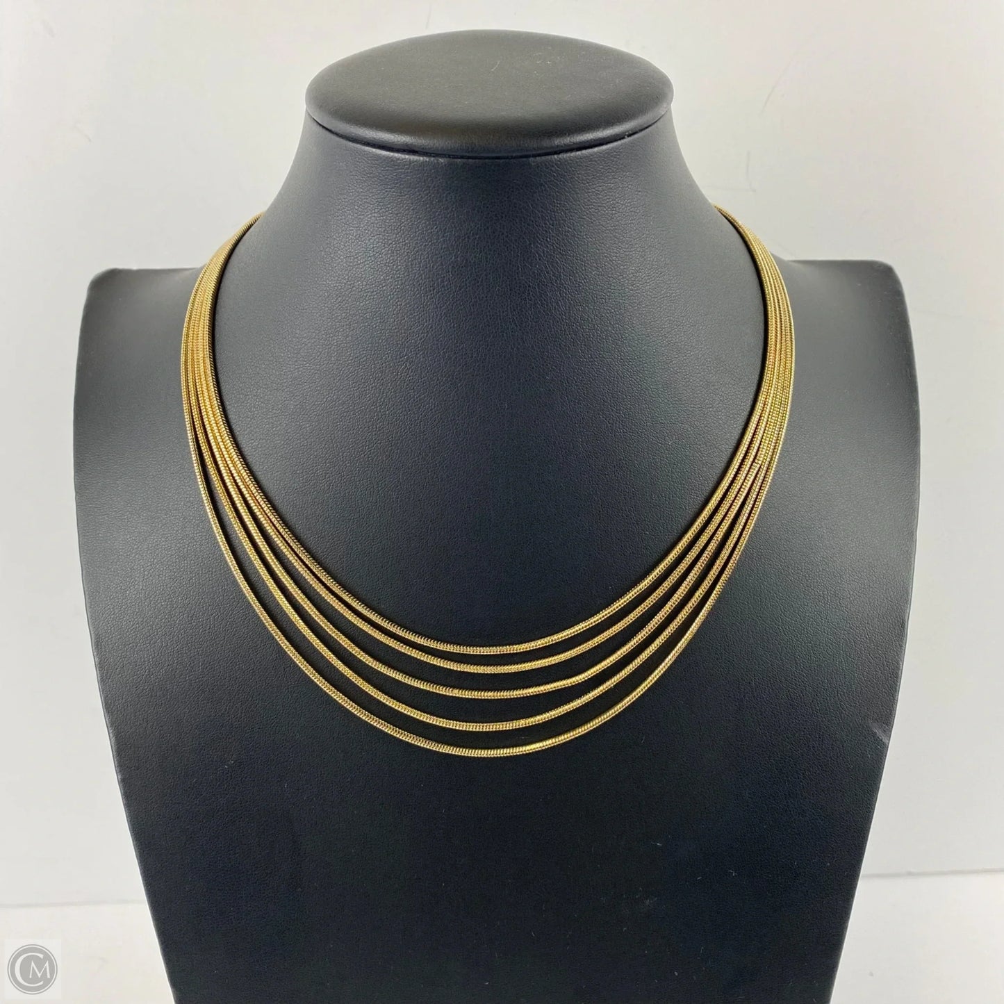 Necklace Layered By Clothes Mentor