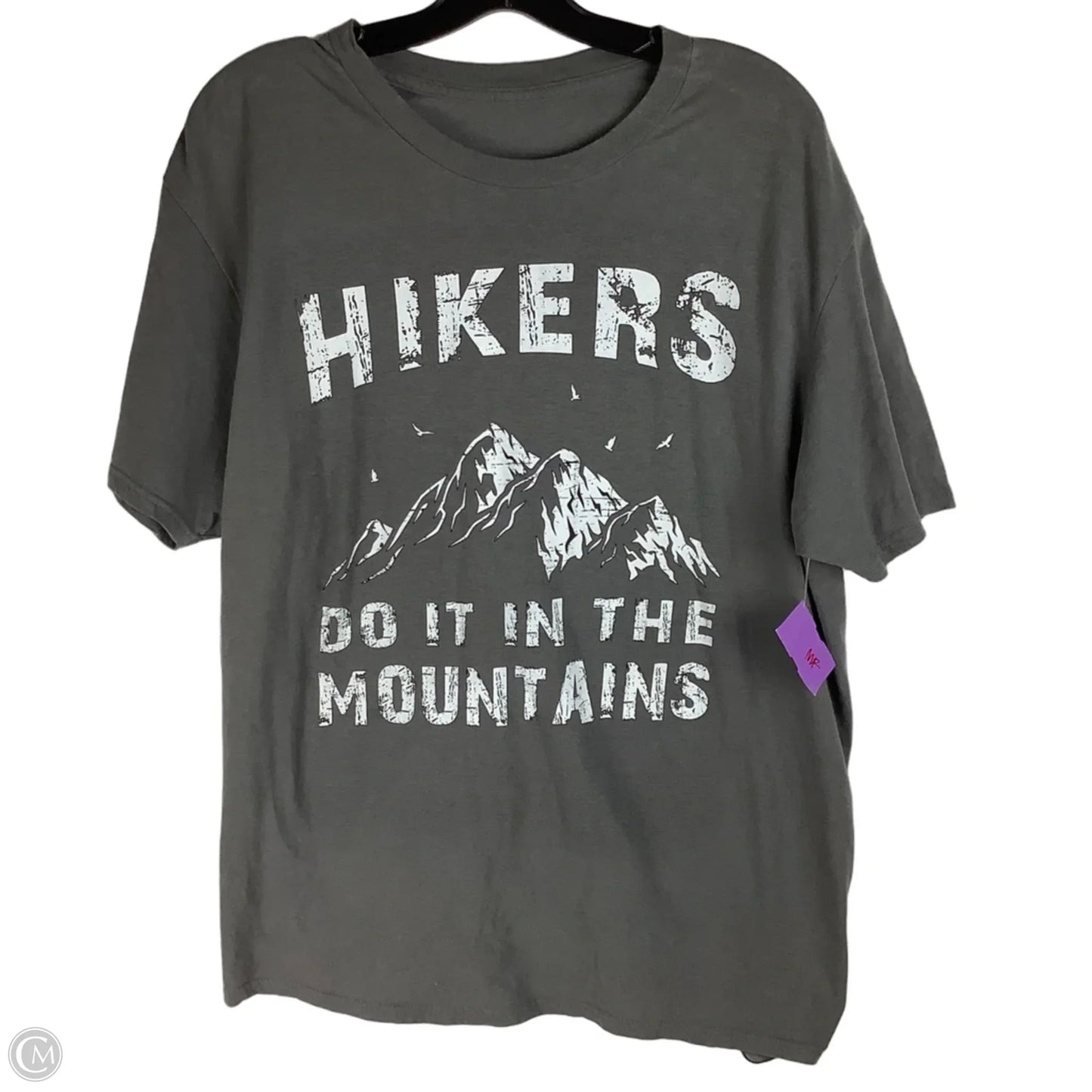 Top Short Sleeve Basic By Clothes Mentor In Grey estimated L/XL